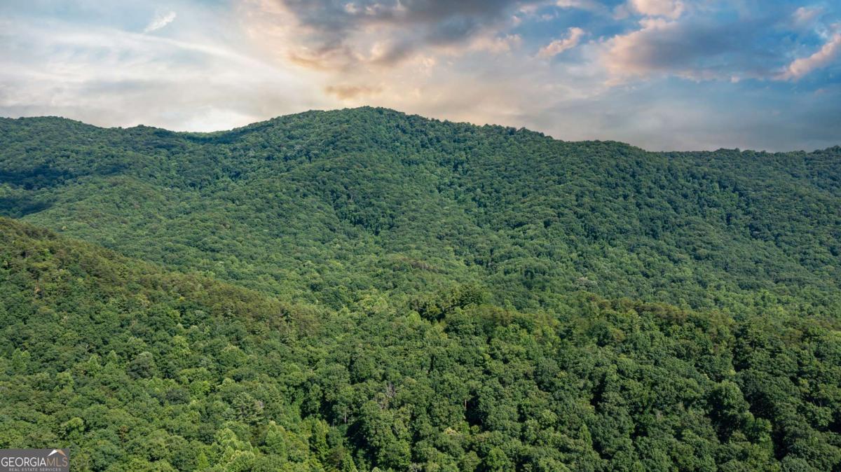 Cherry Log, Georgia, 30522, United States, ,Land,For Sale,1859131