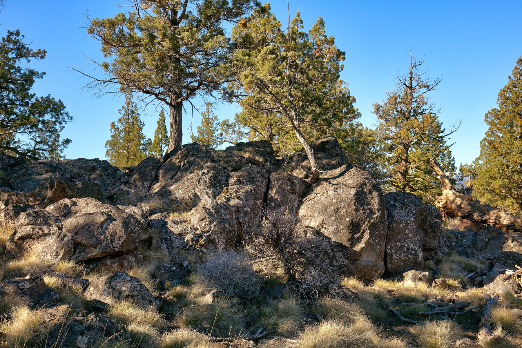  3380 NW Greenleaf Way Bend, OR 97703 - 物件實景