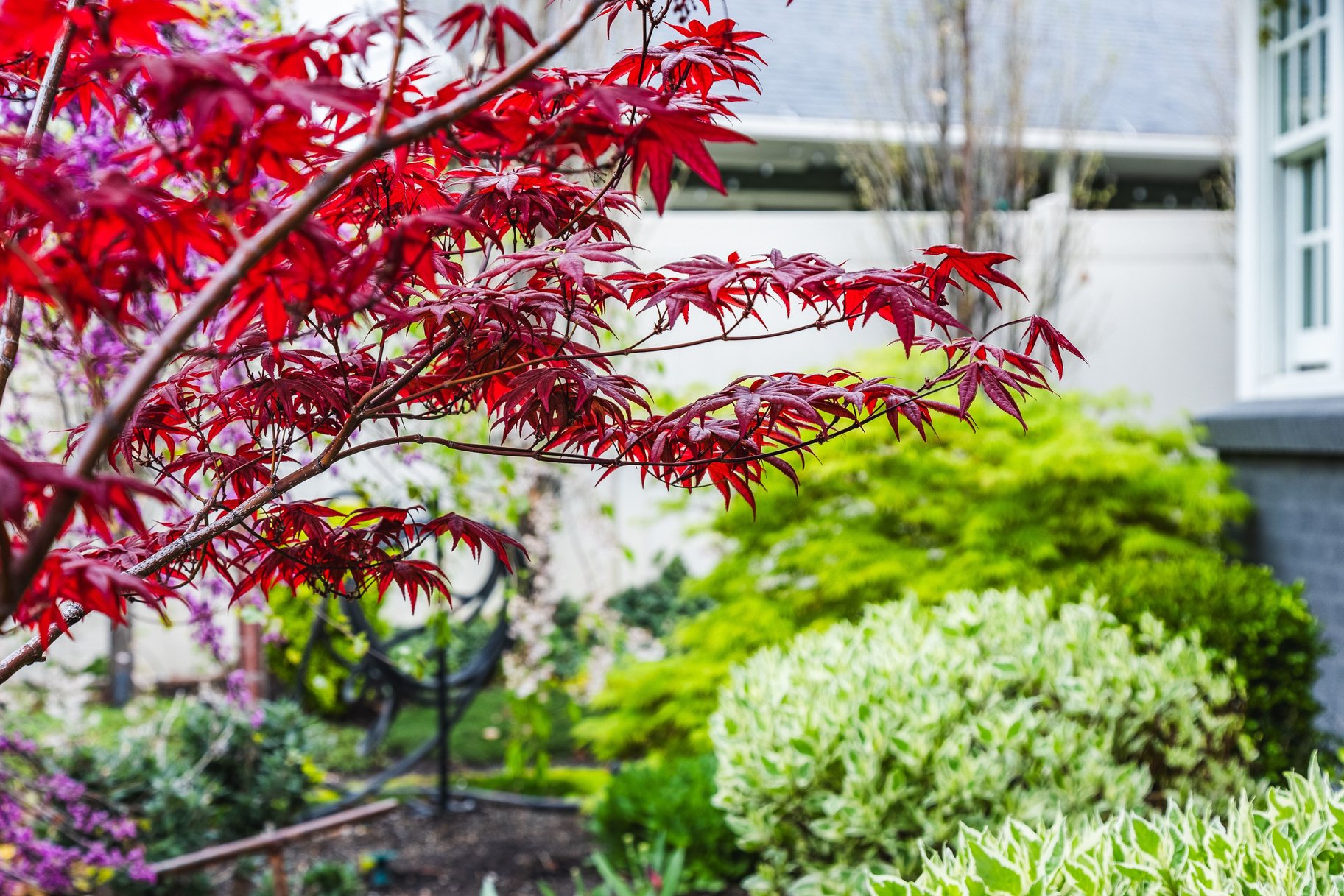  Tastefully Updated Holladay Rambler on .60 acre Manicured Lot - 物件實景