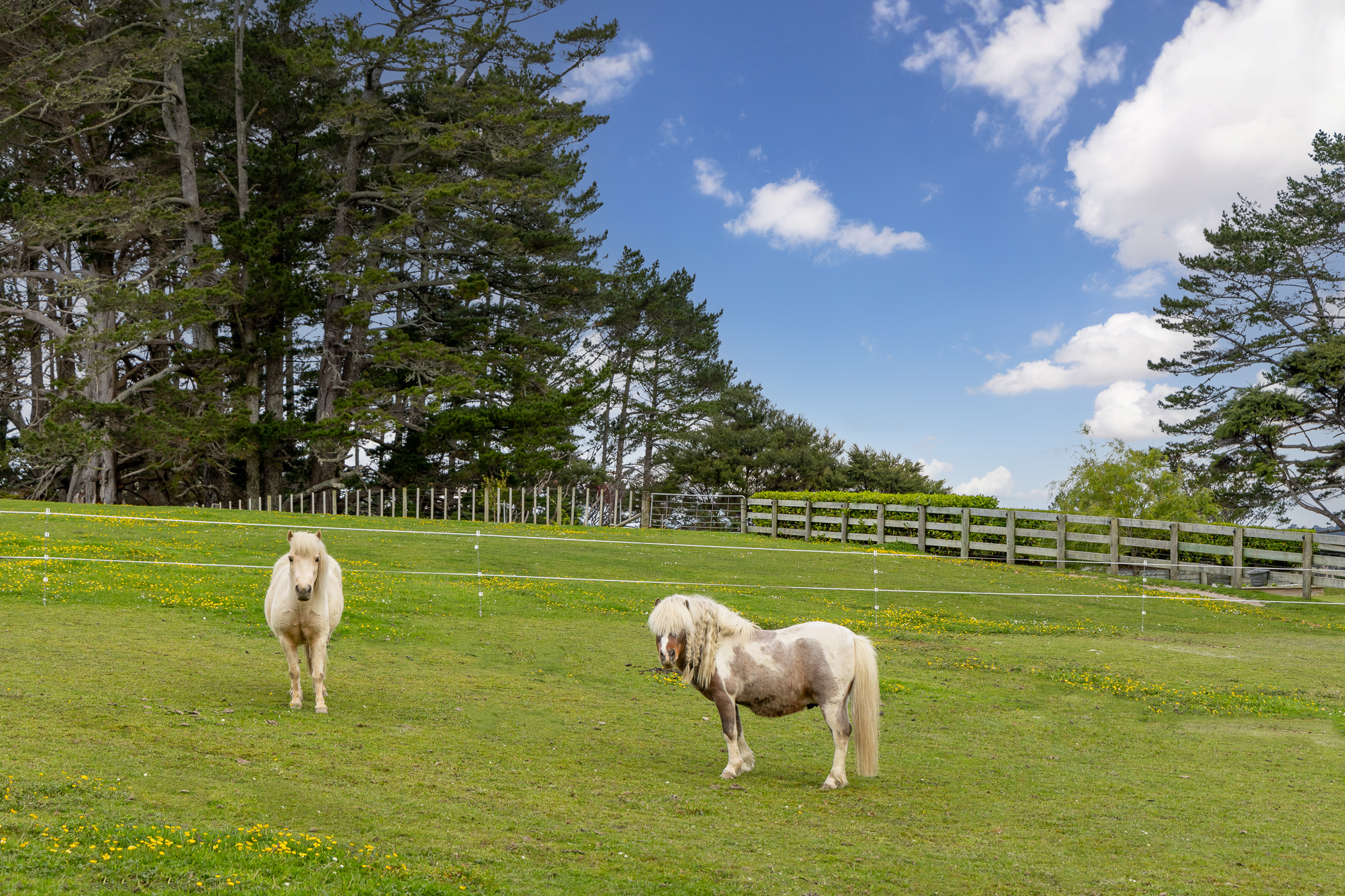  A Country Sanctuary, Moments From the City - 物件實景