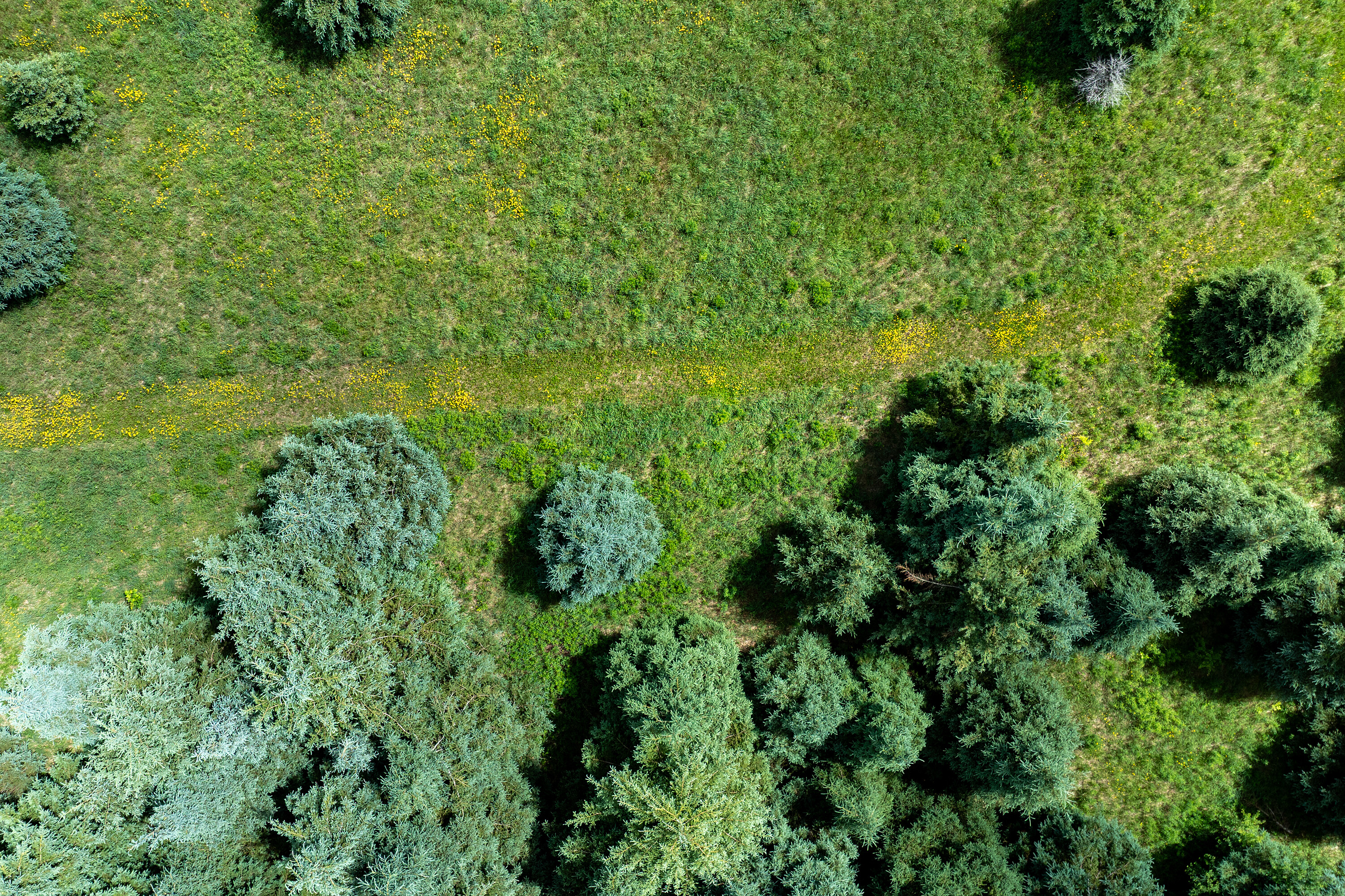  50 acre parcel in Mulmur ON - 物件實景