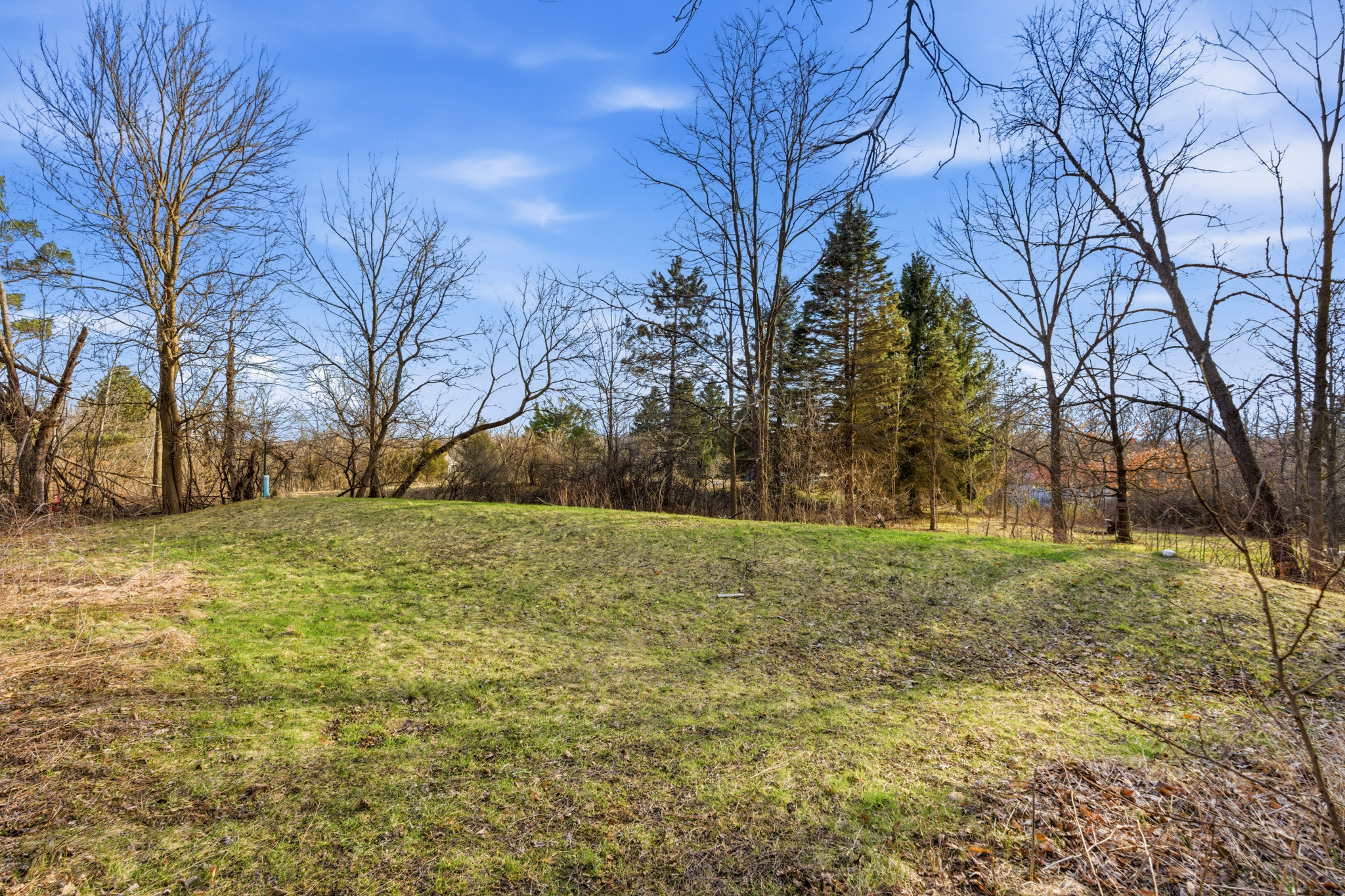  Unique Mid-Century Modern Retreat in a Private Wooded Setting - 物件實景