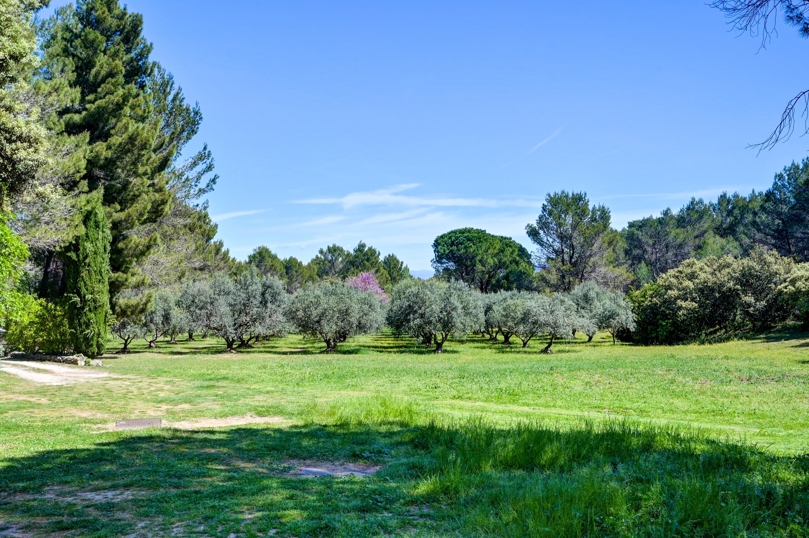  Family property in an exceptional setting - 物件實景