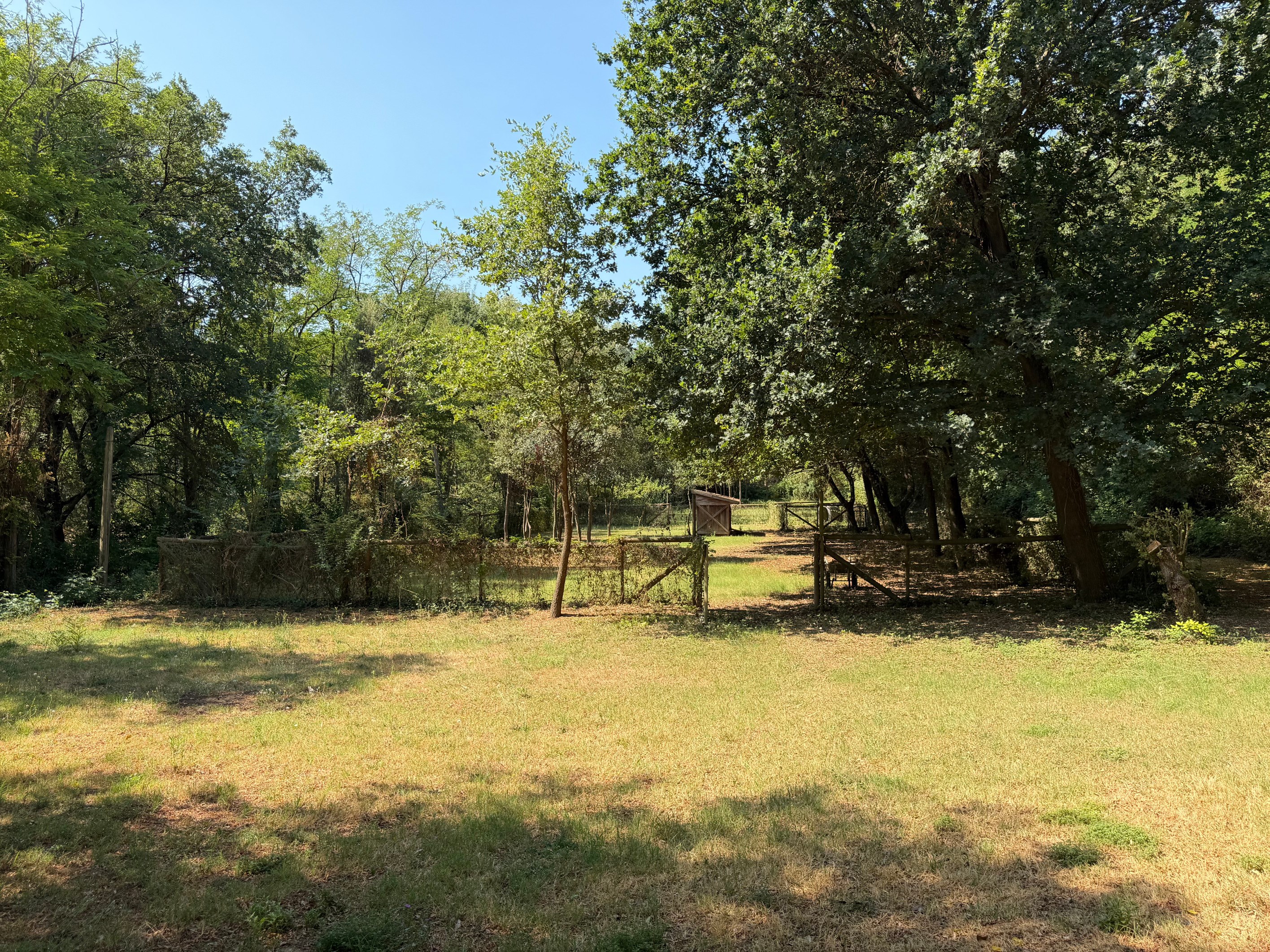  Authentic Provençal Stone Mas – 3.3-Hectare Estate Overlooking the Cèze Valley - 物件實景