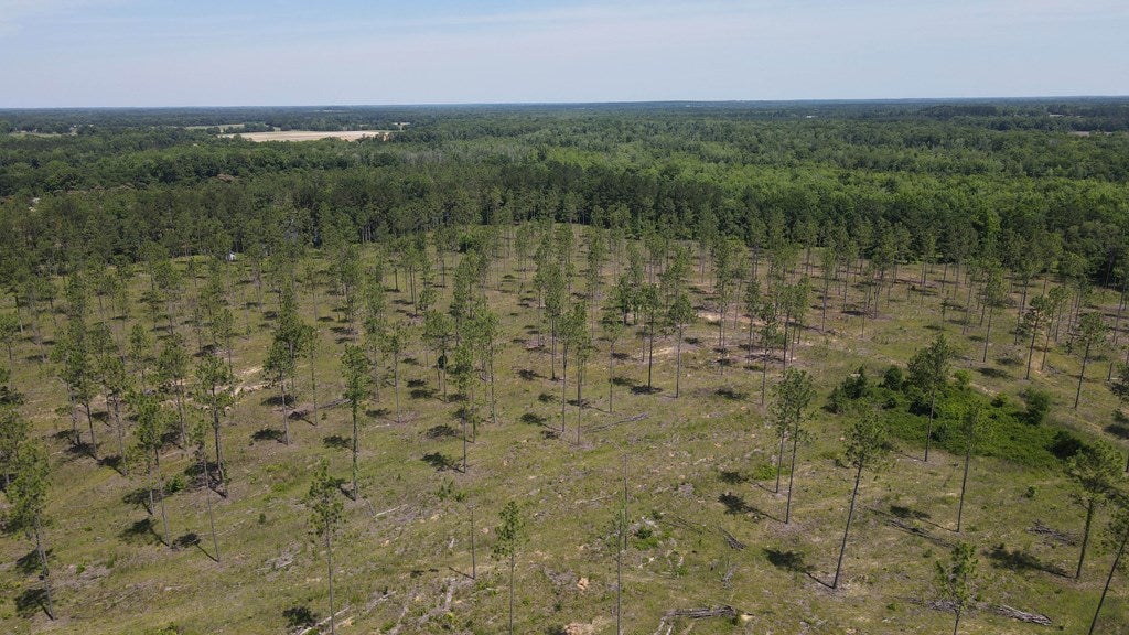 Cottonwood, Alabama, 36320, United States, ,Land,For Sale,1840022