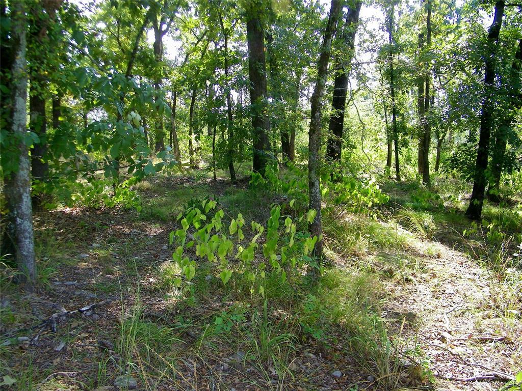 Broken Bow, Oklahoma, 74728, United States, ,Residential,For Sale,1979541