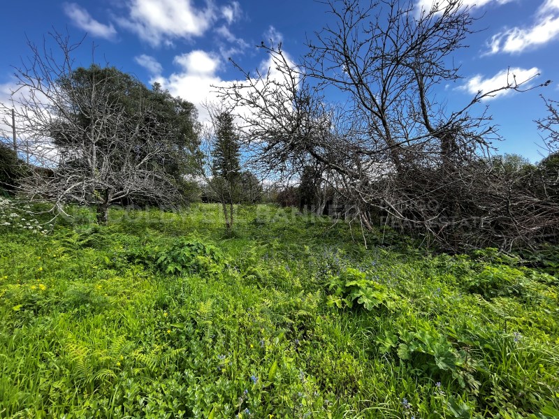 Pontevedra, Moa?a, Moa?a (San Marti?o P. E Virxe d, Moaña, Galicia, ES, 7 Bedrooms Bedrooms, ,2 BathroomsBathrooms,Residential,For Sale,Pontevedra, Moa?a, Moa?a (San Marti?o P. E Virxe d,1623275