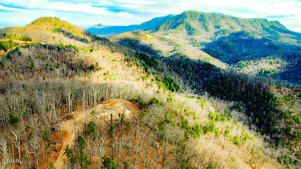 Sevierville, Tennessee, 37876, United States, ,Land,For Sale,2008093
