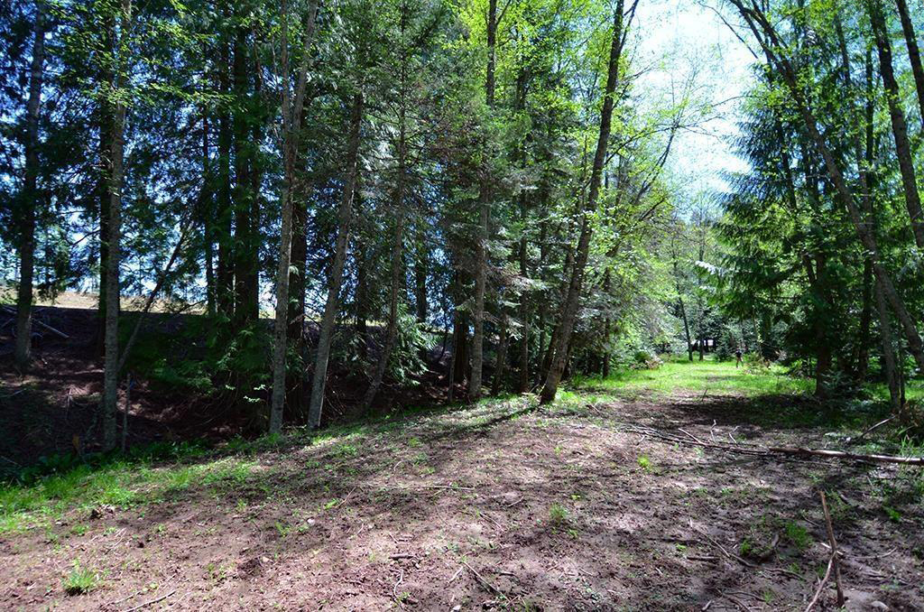 Sagle, Idaho, 83860, United States, ,Land,For Sale,1974286