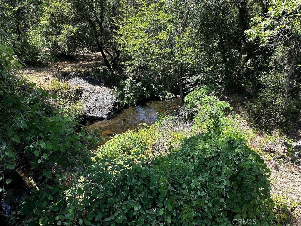 Chico, California, 95928, United States, ,Land,For Sale,1974273