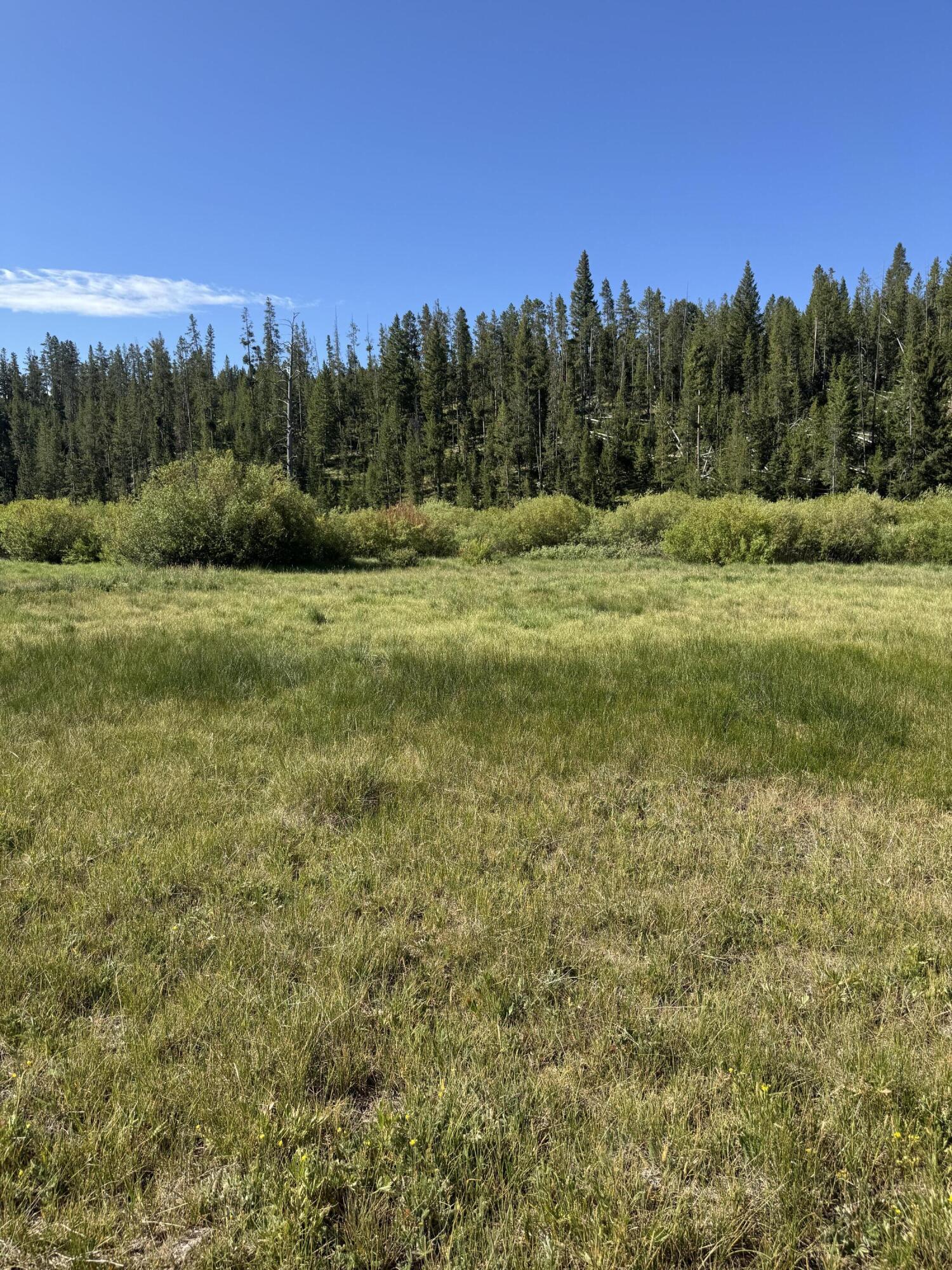 Stanley, Idaho, 83278, United States, ,Land,For Sale,1901484