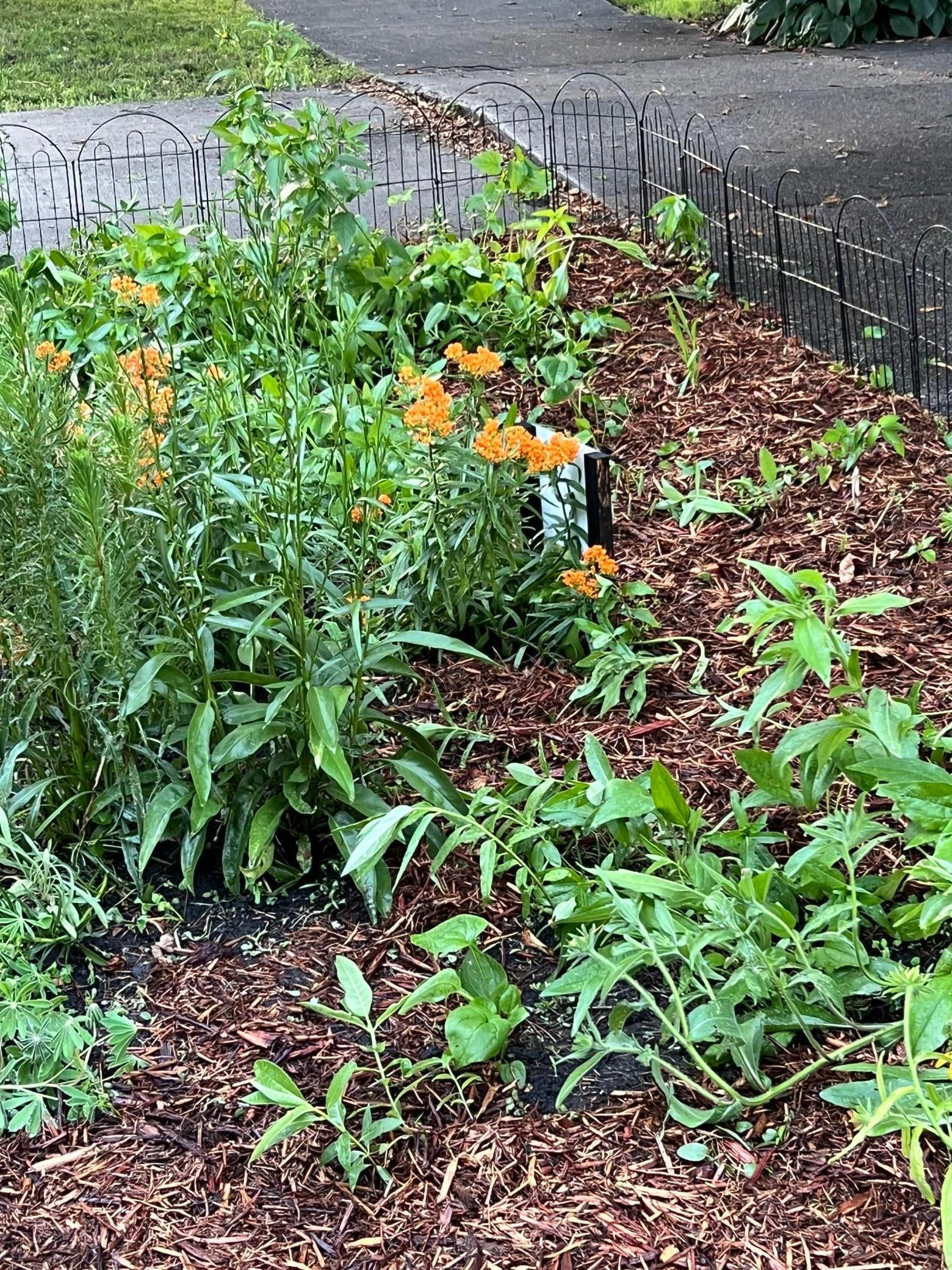 Saint Paul, Minnesota, 55104, United States, 3 Bedrooms Bedrooms, ,1 BathroomBathrooms,Residential,For Sale,1988037