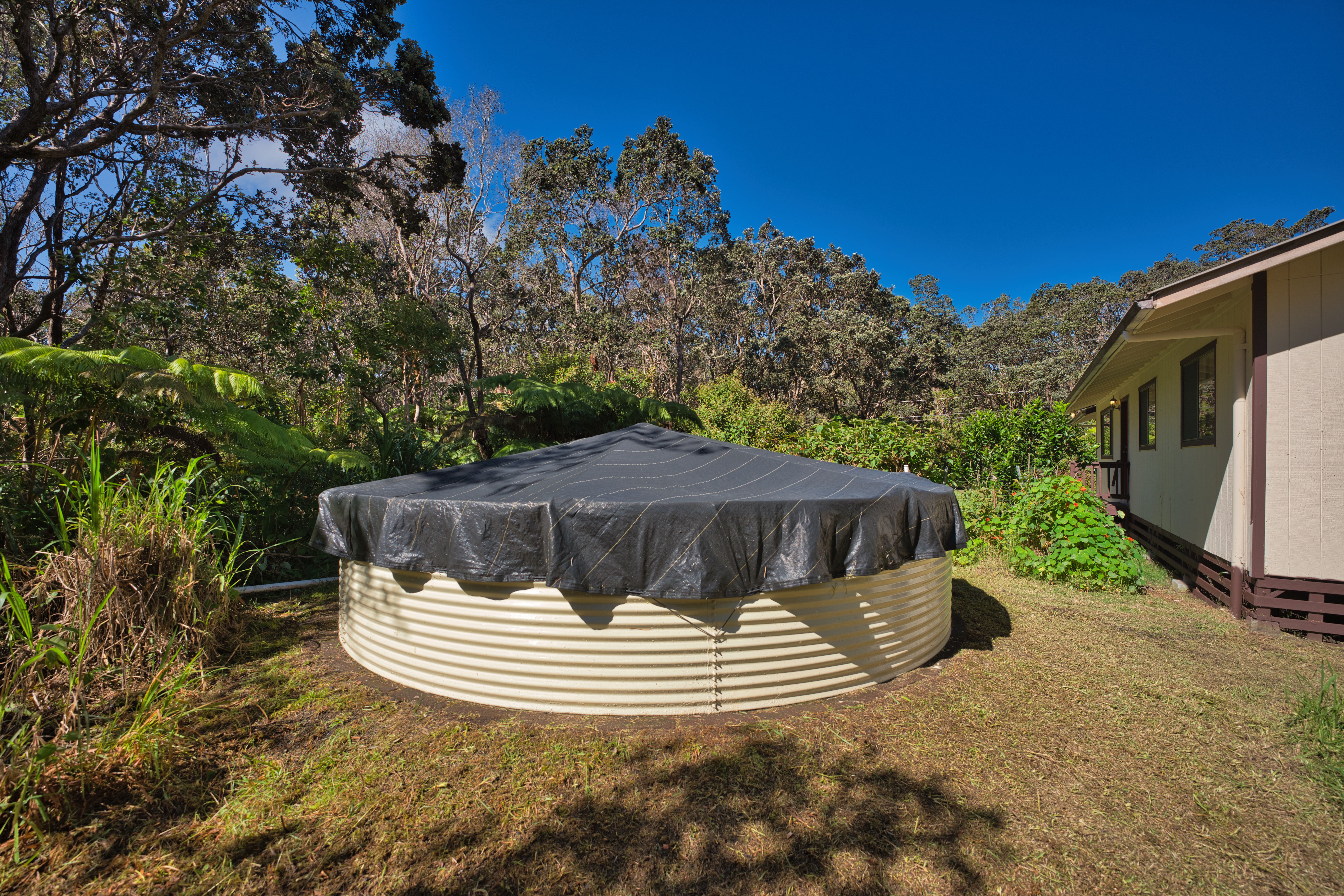 19-4159 Anuhea Circle Dr, Volcano, HI, 96785 - 物件實景