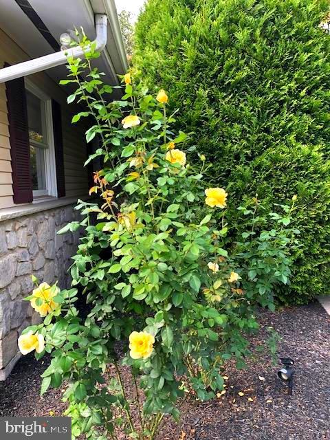 Glen Mills, Pennsylvania, 19342, United States, 3 Bedrooms Bedrooms, ,3 BathroomsBathrooms,Residential,For Sale,2048290