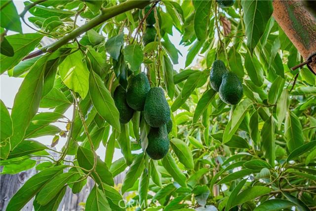 Riverside, California, 92503, United States, 3 Bedrooms Bedrooms, ,1 BathroomBathrooms,Residential,For Sale,1991391