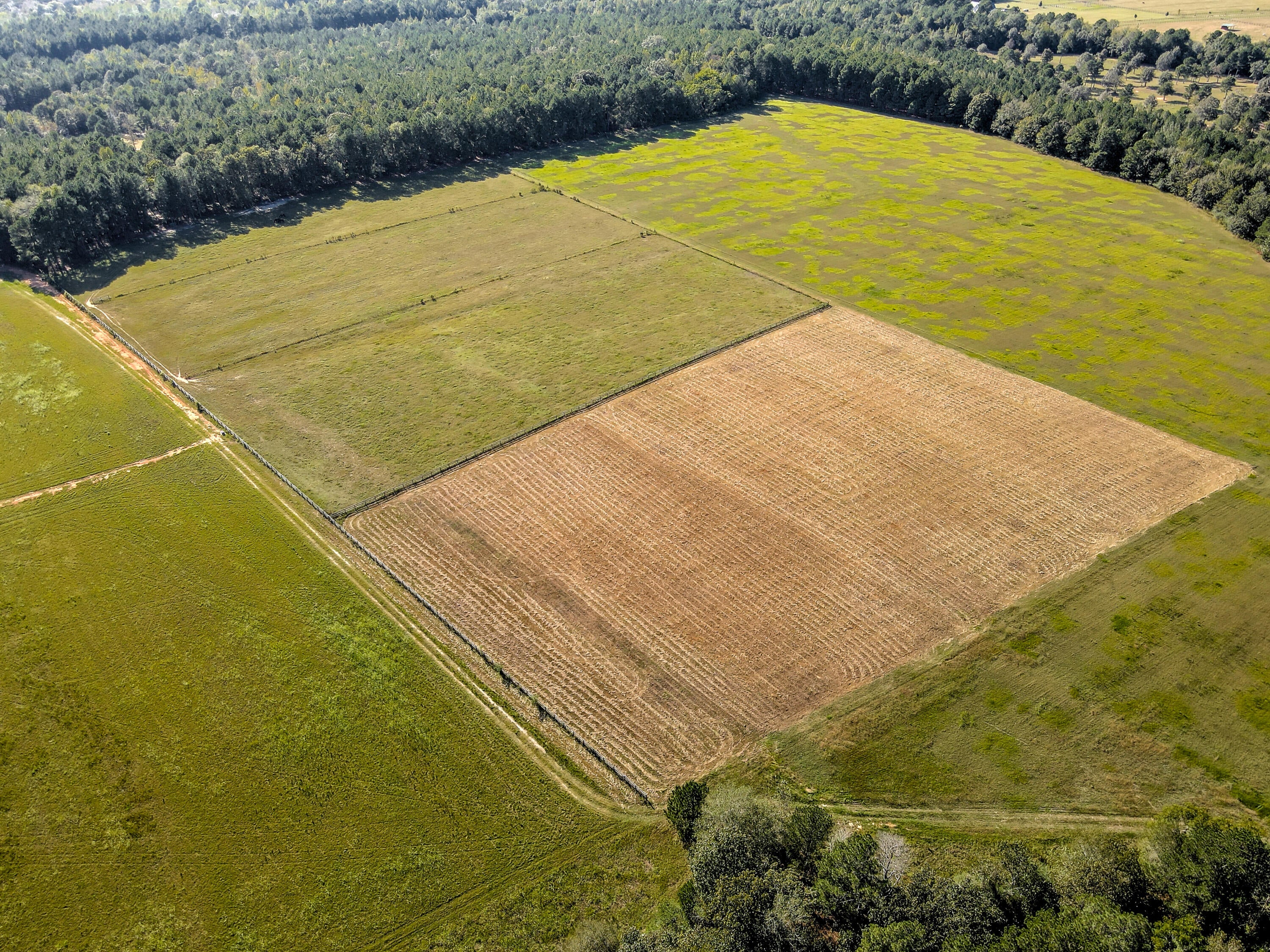 Wagener, South Carolina, 29164, United States, ,Land,For Sale,1969040