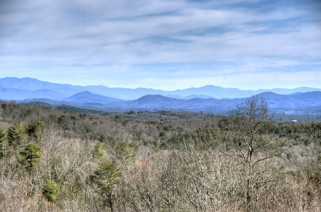 Mineral Bluff, Georgia, 30559, United States, 4 Bedrooms Bedrooms, ,4 BathroomsBathrooms,Residential,For Sale,2010498