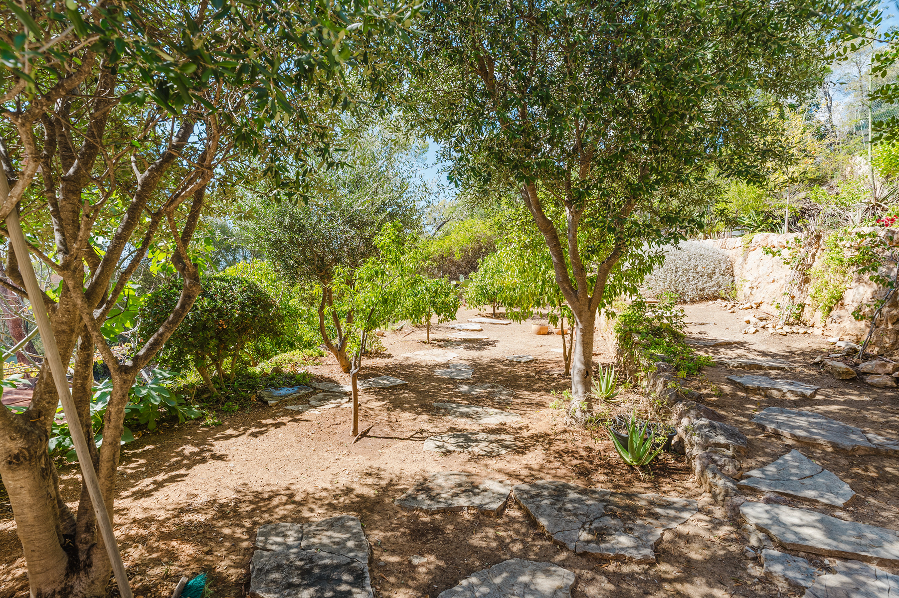  Historic property with tennis court in Palma - 物件實景