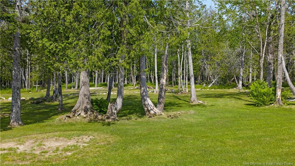 BAYSIDE, New Brunswick, E5B 2T1, CA, 3 Bedrooms Bedrooms, ,2 BathroomsBathrooms,Residential,For Sale,1876471