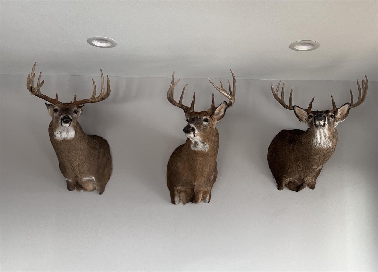 Muscoda, Wisconsin, 53573, United States, 3 Bedrooms Bedrooms, ,3 BathroomsBathrooms,Residential,For Sale,1990387