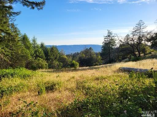 6200 cavedale RD, Glen Ellen, California, 95442, United States, 4 Bedrooms Bedrooms, ,4 BathroomsBathrooms,Residential,For Sale,6200 cavedale RD,1341783