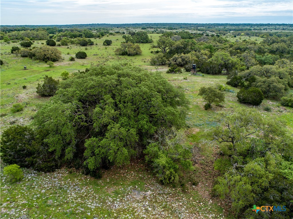 San Marcos, Texas, 78666, United States, ,Land,For Sale,1990898