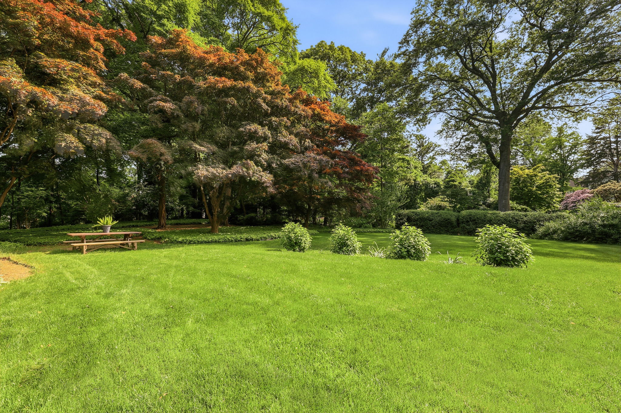  Timeless 1920s Colonial: A Historic Fairfield Grand Dame - 物件實景