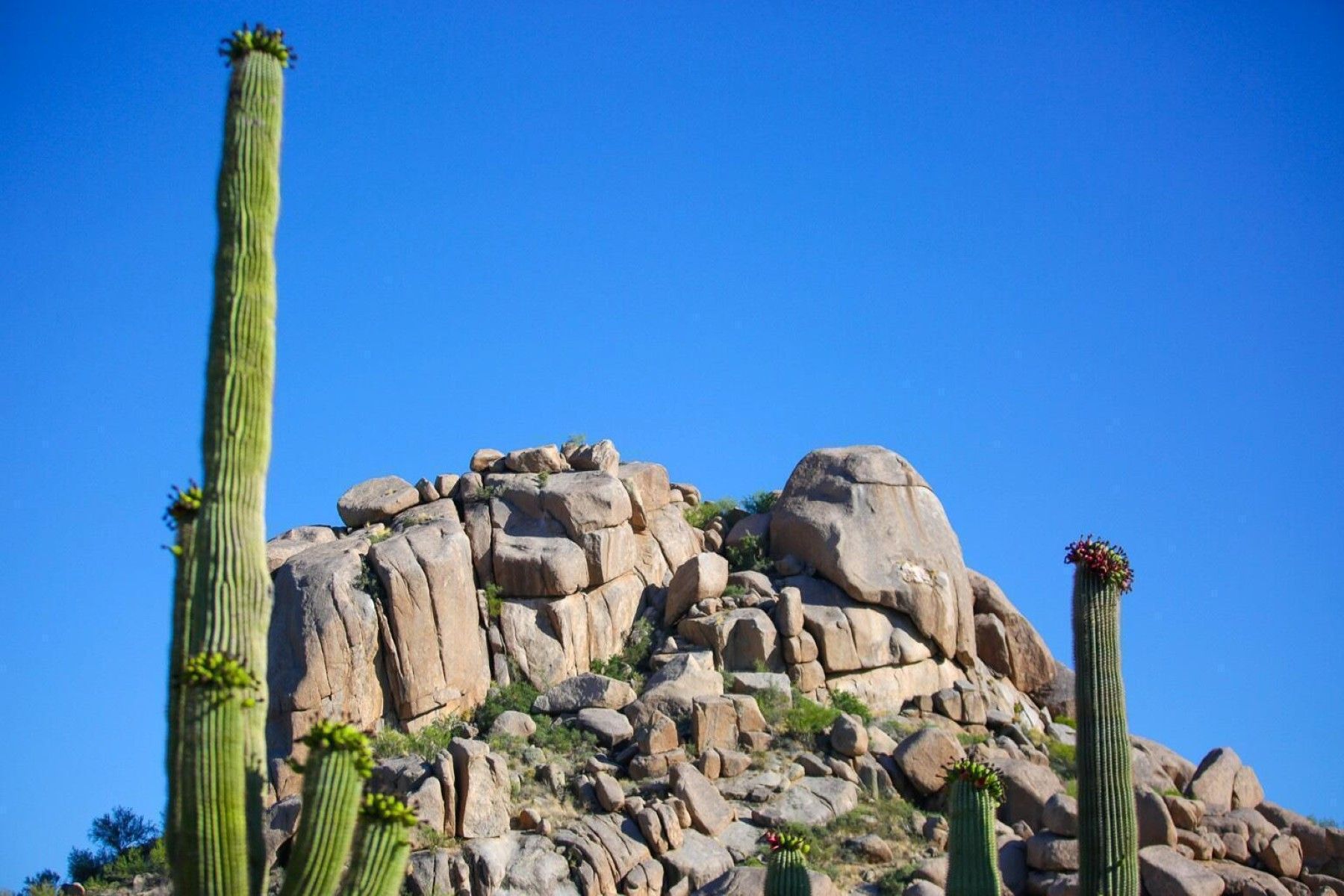  The Boulders - 物件實景