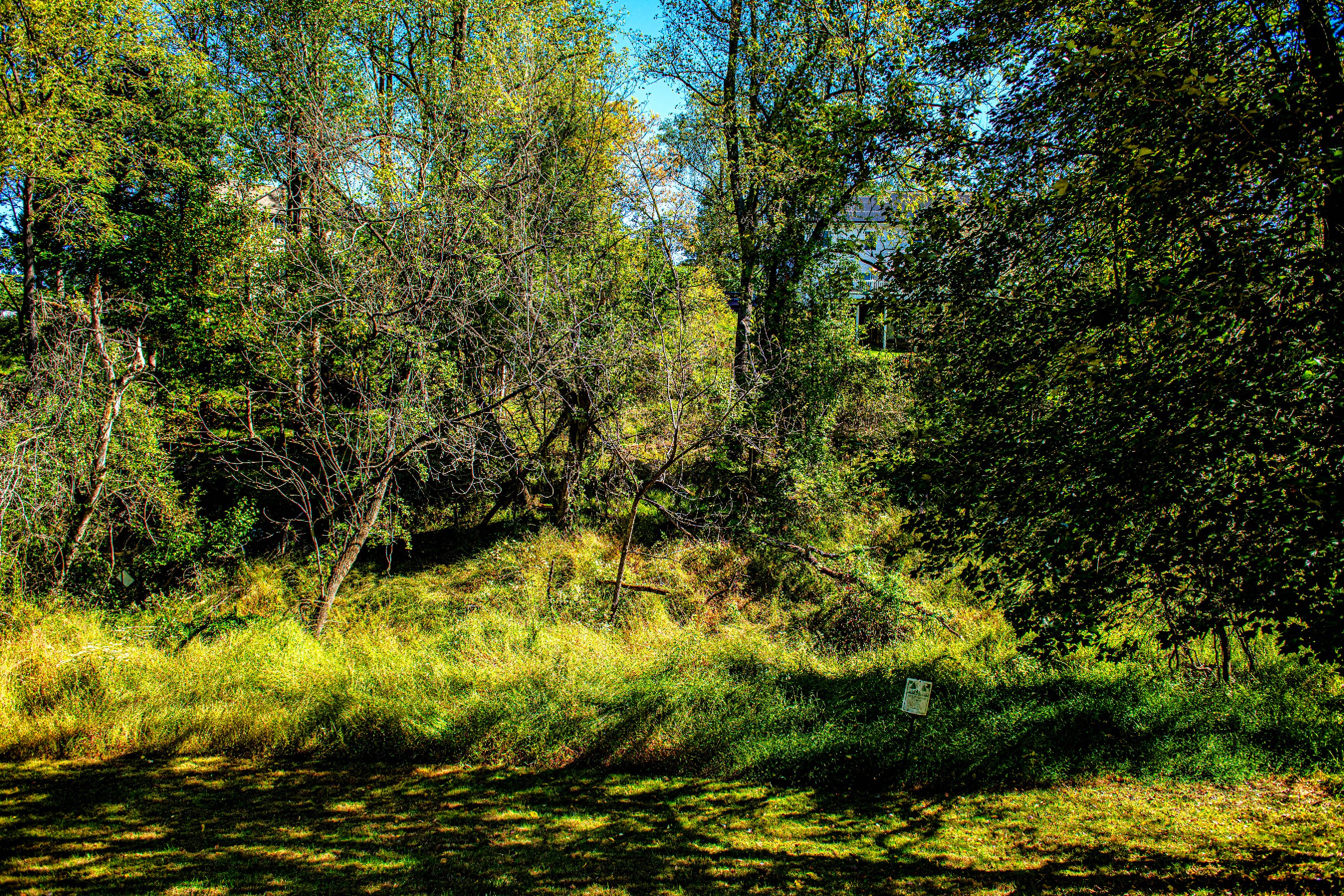 Woods of Tiber Branch II - 物件實景