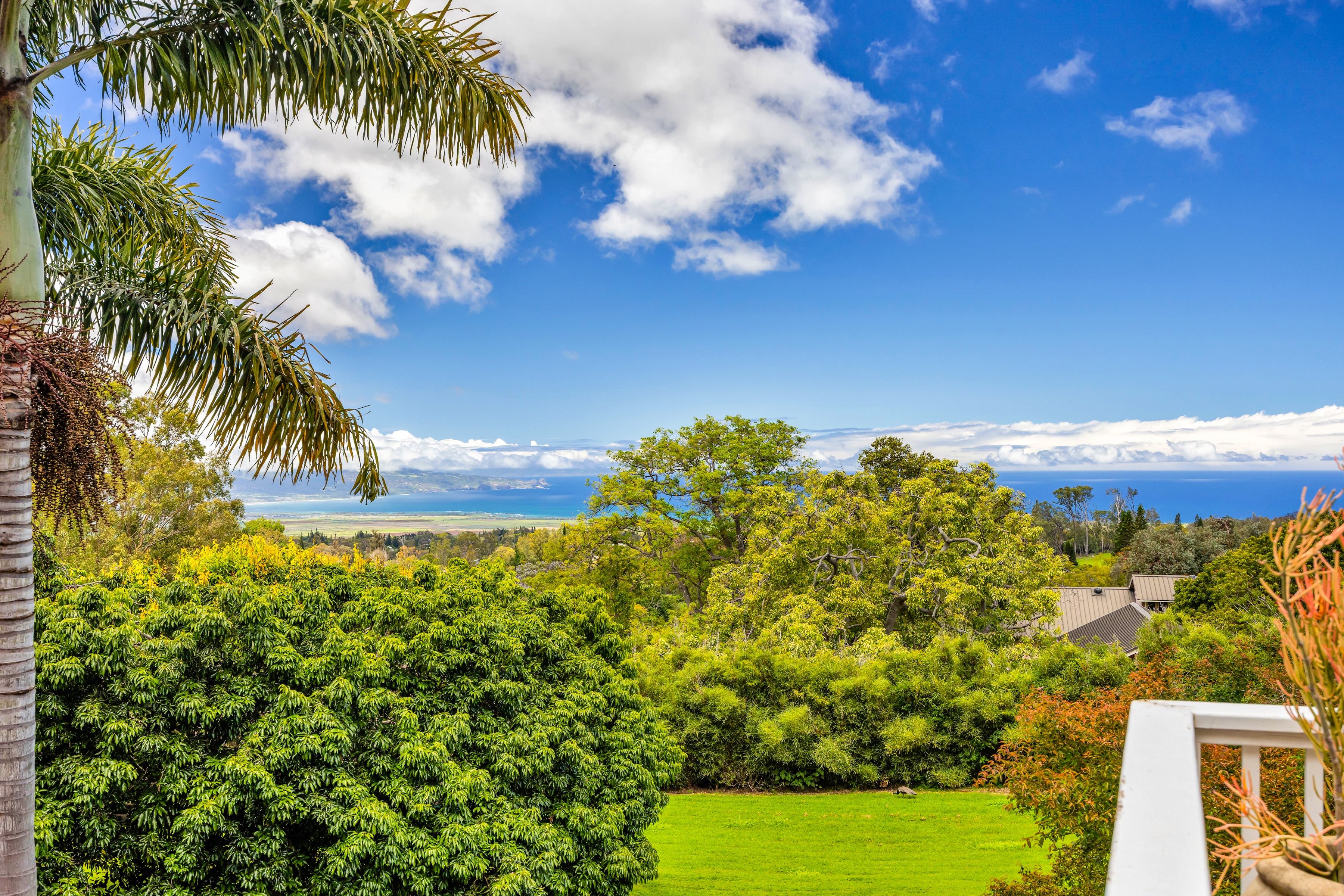  Sweet Lower Olinda Plantation Charm, pool, hot tub on 2 Acres - 物件實景