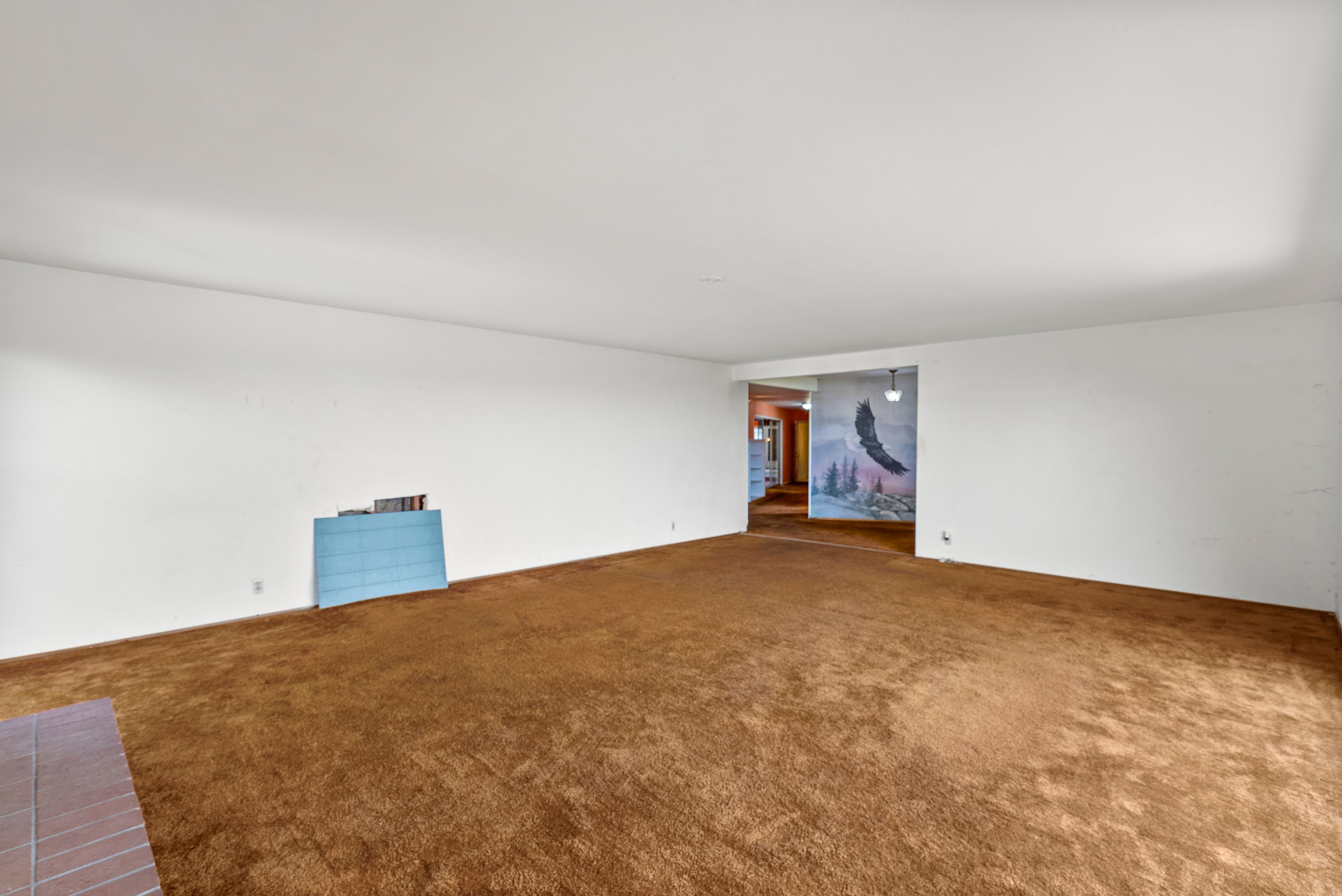 ObjectPhoto11