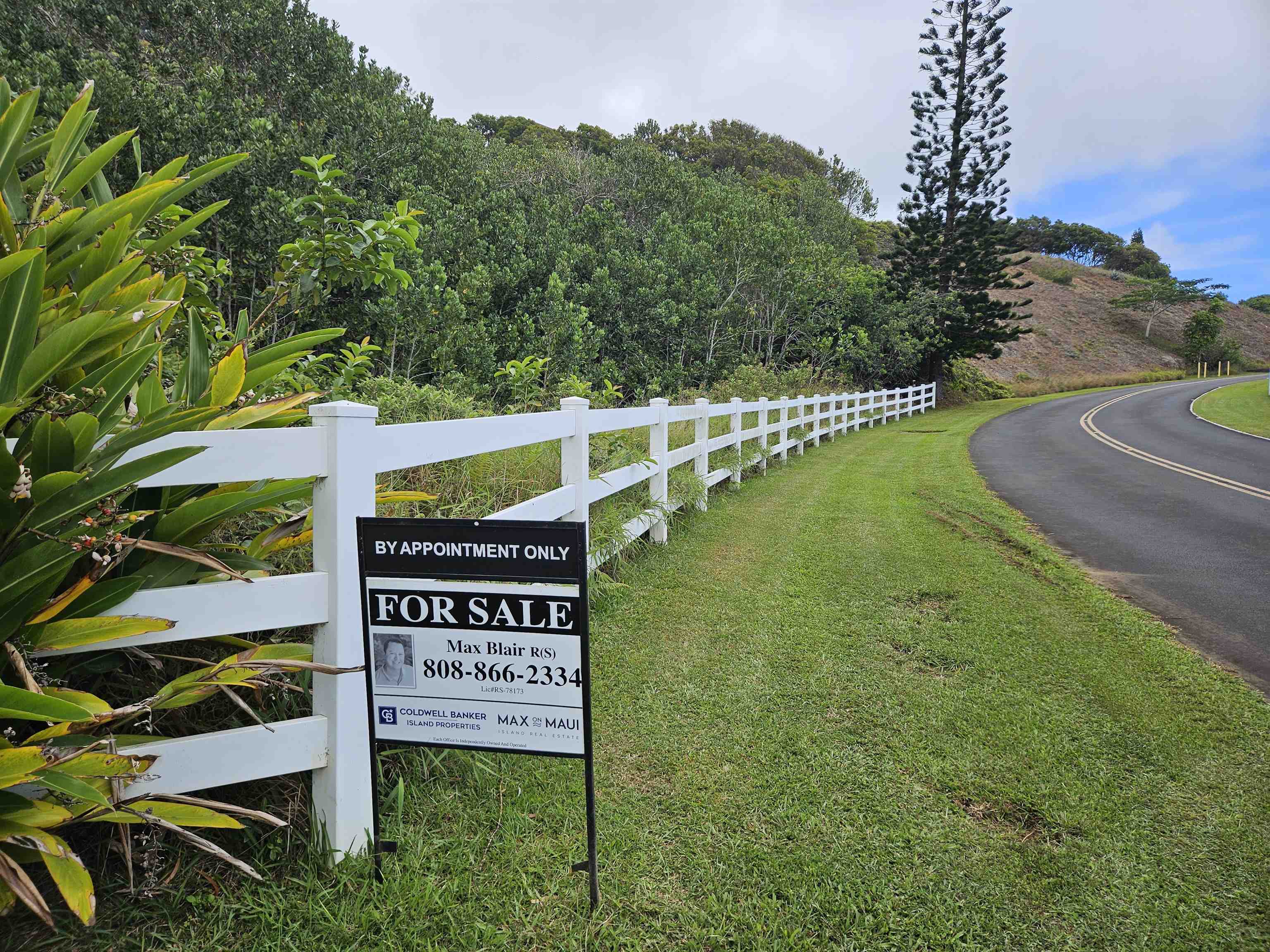 63 Lahaole Pl, Wailuku, Hawaii, 96793, United States, ,Land,For Sale,63 Lahaole Pl,1676772