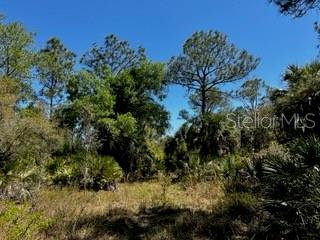 Punta Gorda, Florida, 33982, United States, ,Land,For Sale,1840783