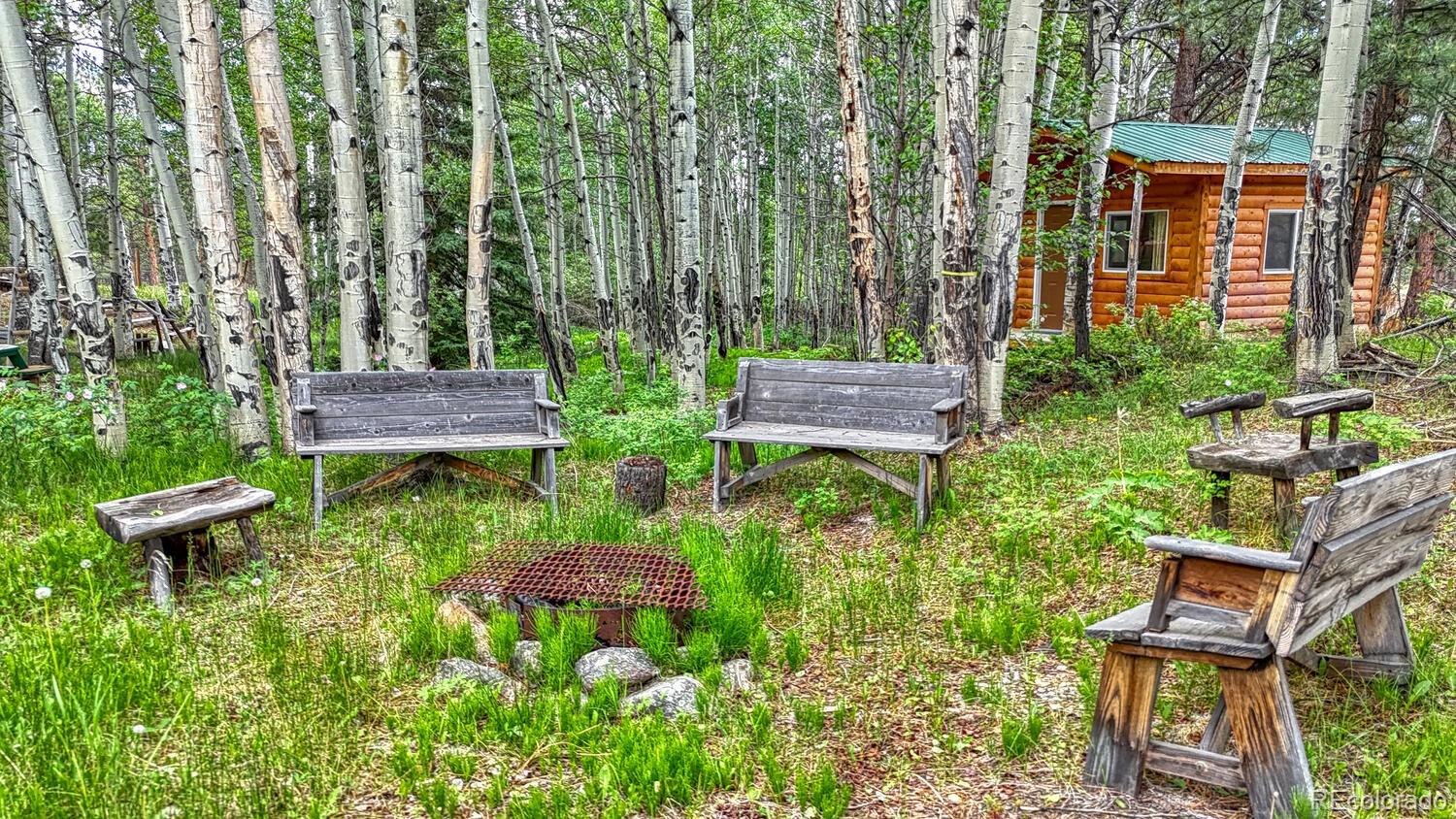 Buena Vista, Colorado, 81211, United States, 6 Bedrooms Bedrooms, ,6 BathroomsBathrooms,Residential,For Sale,2008137