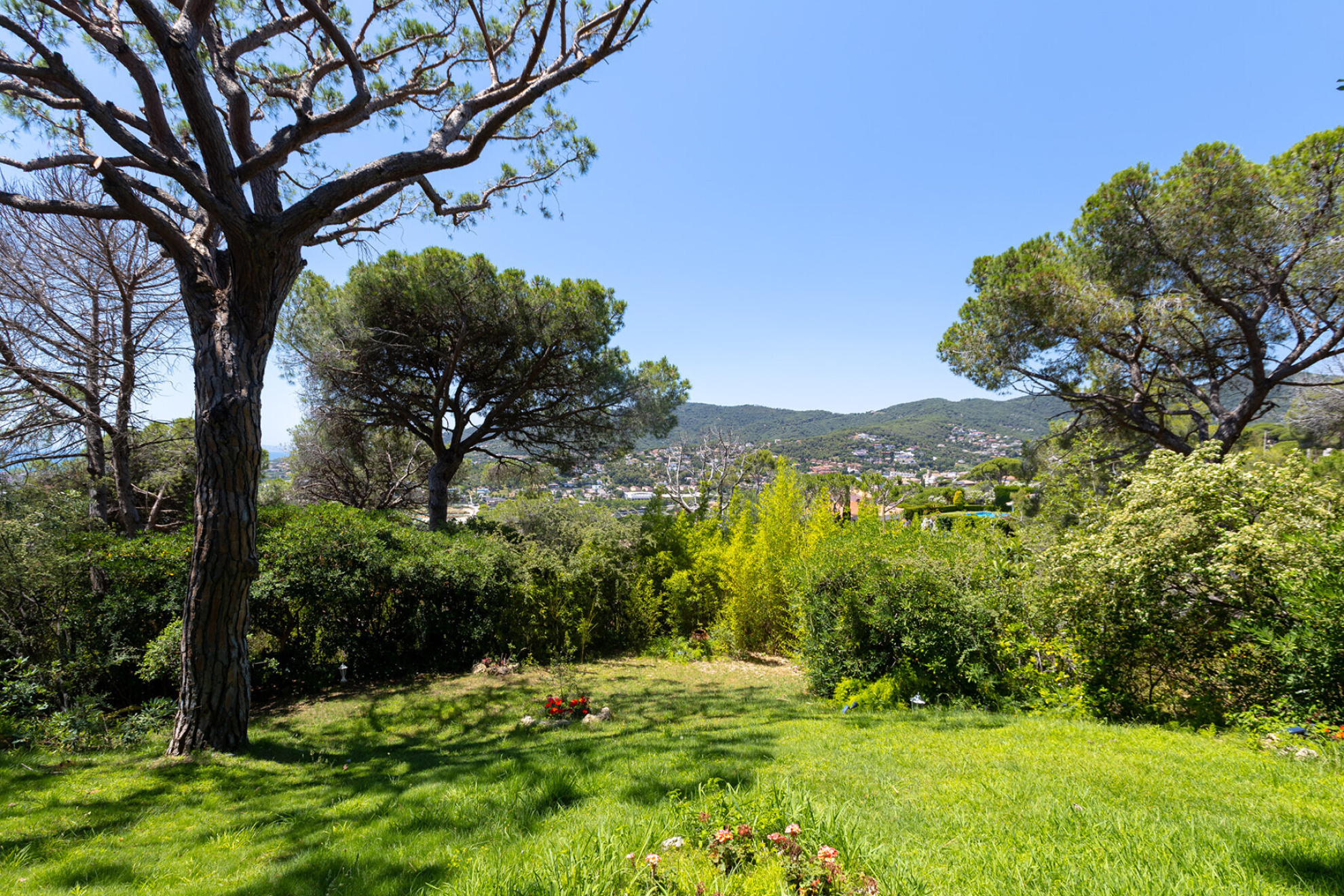  Luxury villa with a tourist license and panoramic ocean views - 物件實景