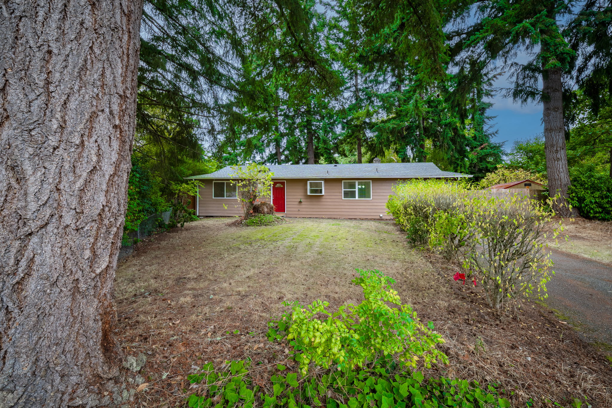 807 Gregory Way