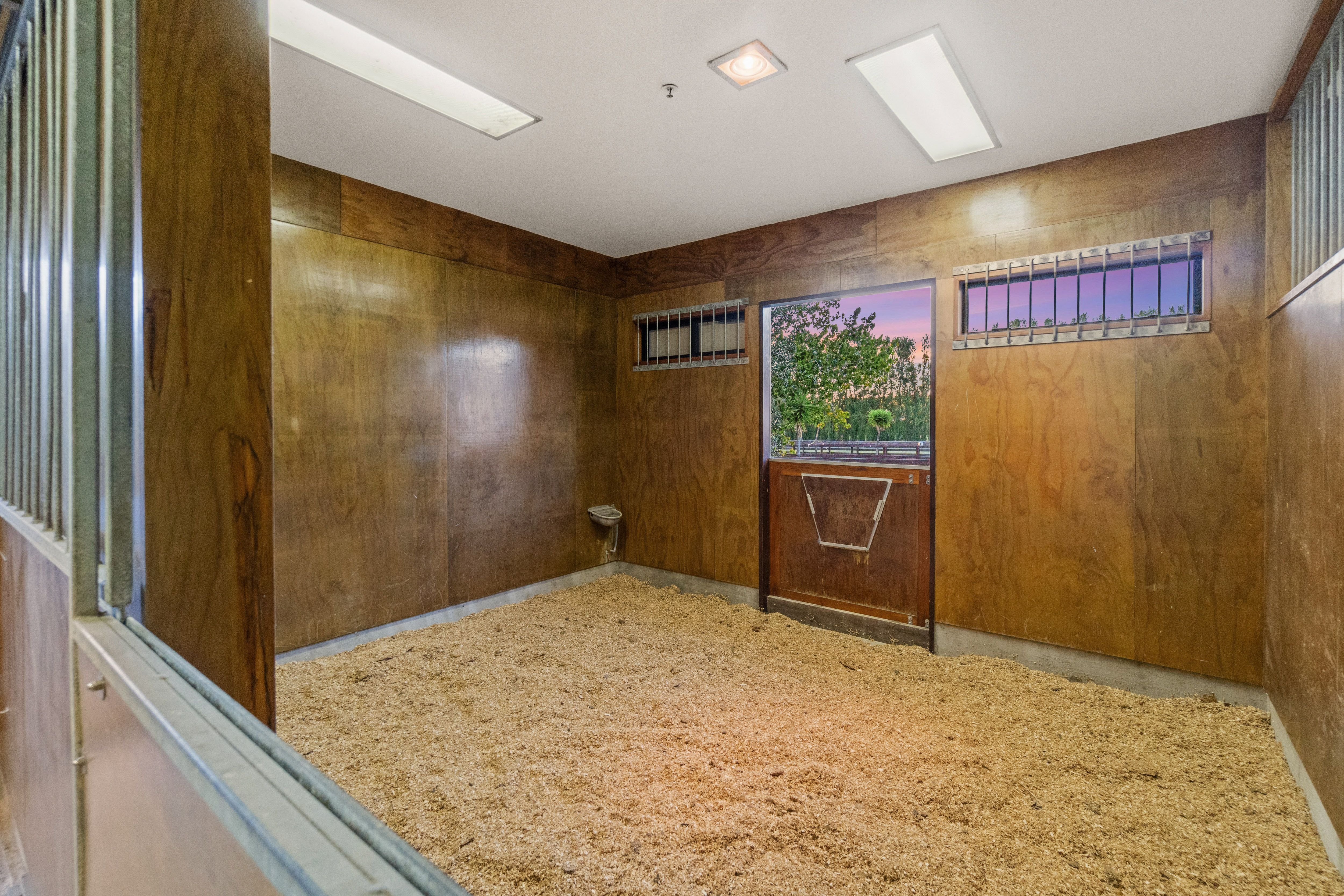  55 Postman Road, Dairy Flat - 物件實景