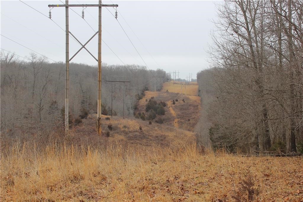 Rogers, Arkansas, 72756, United States, ,Land,For Sale,1966803