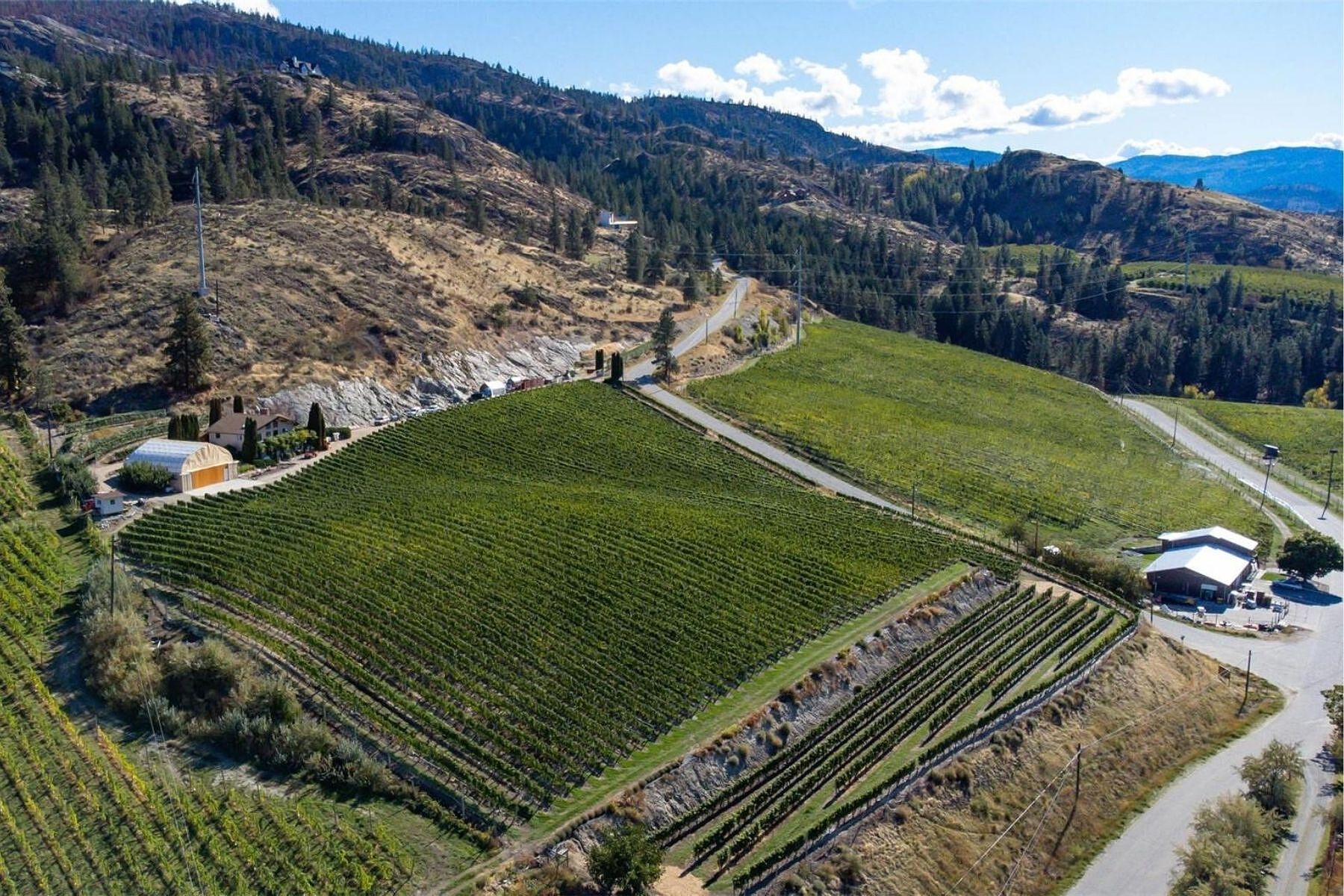  Boutique Okanagan Winery - 物件實景