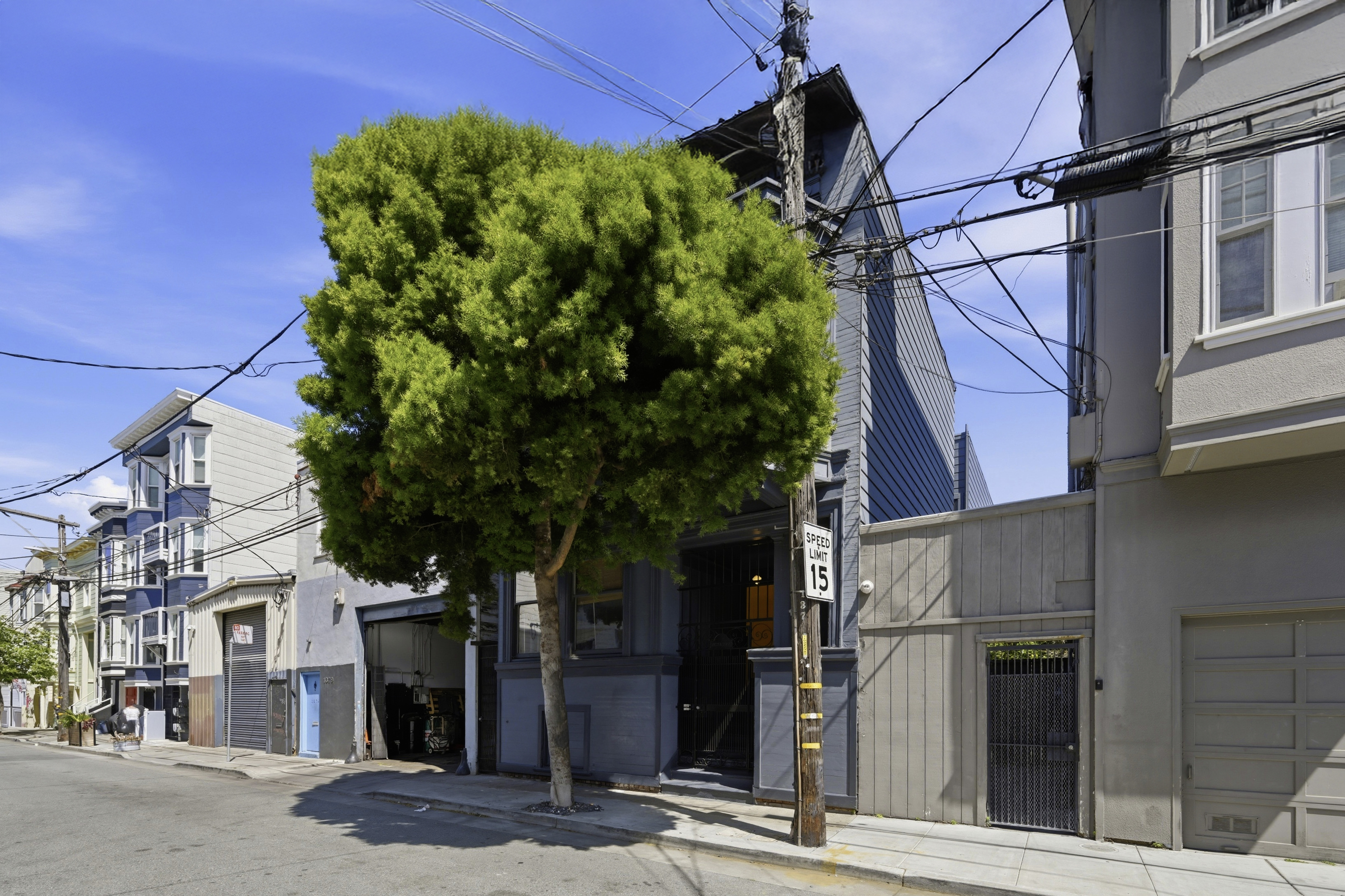  Period Charm Galore  Edwardian in the Mission - 物件實景