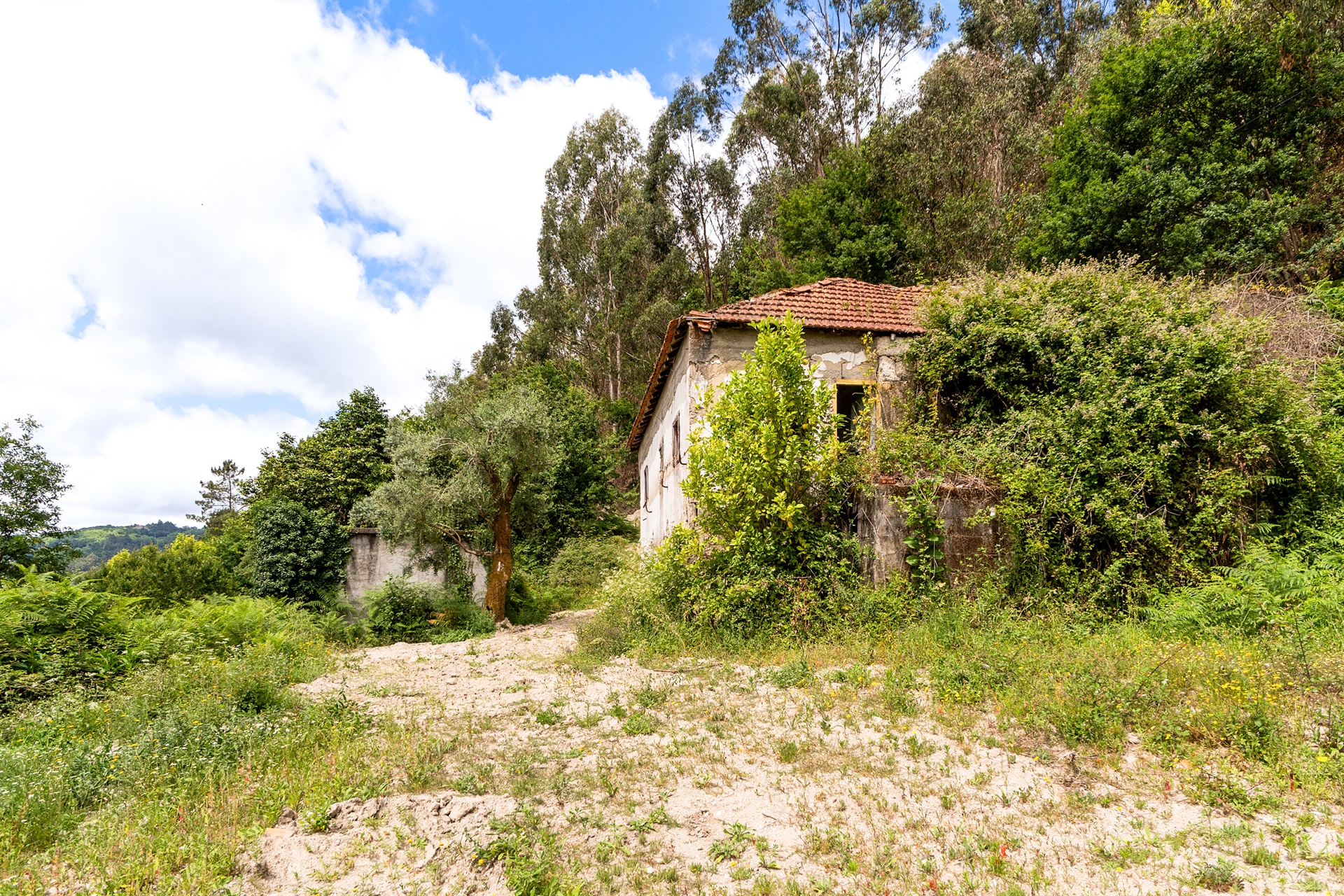  Farm, 3 bedrooms, for Sale - 物件實景