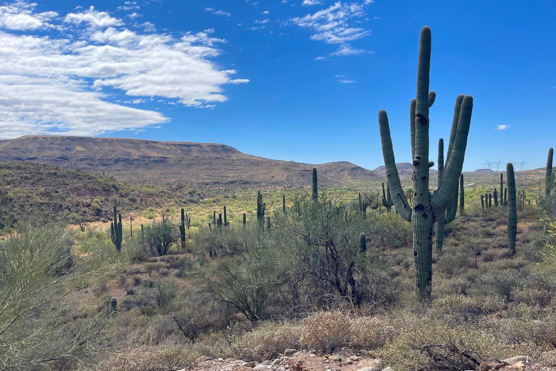  31900 S Tillys Trail¦Black Canyon City, AZ - 物件實景