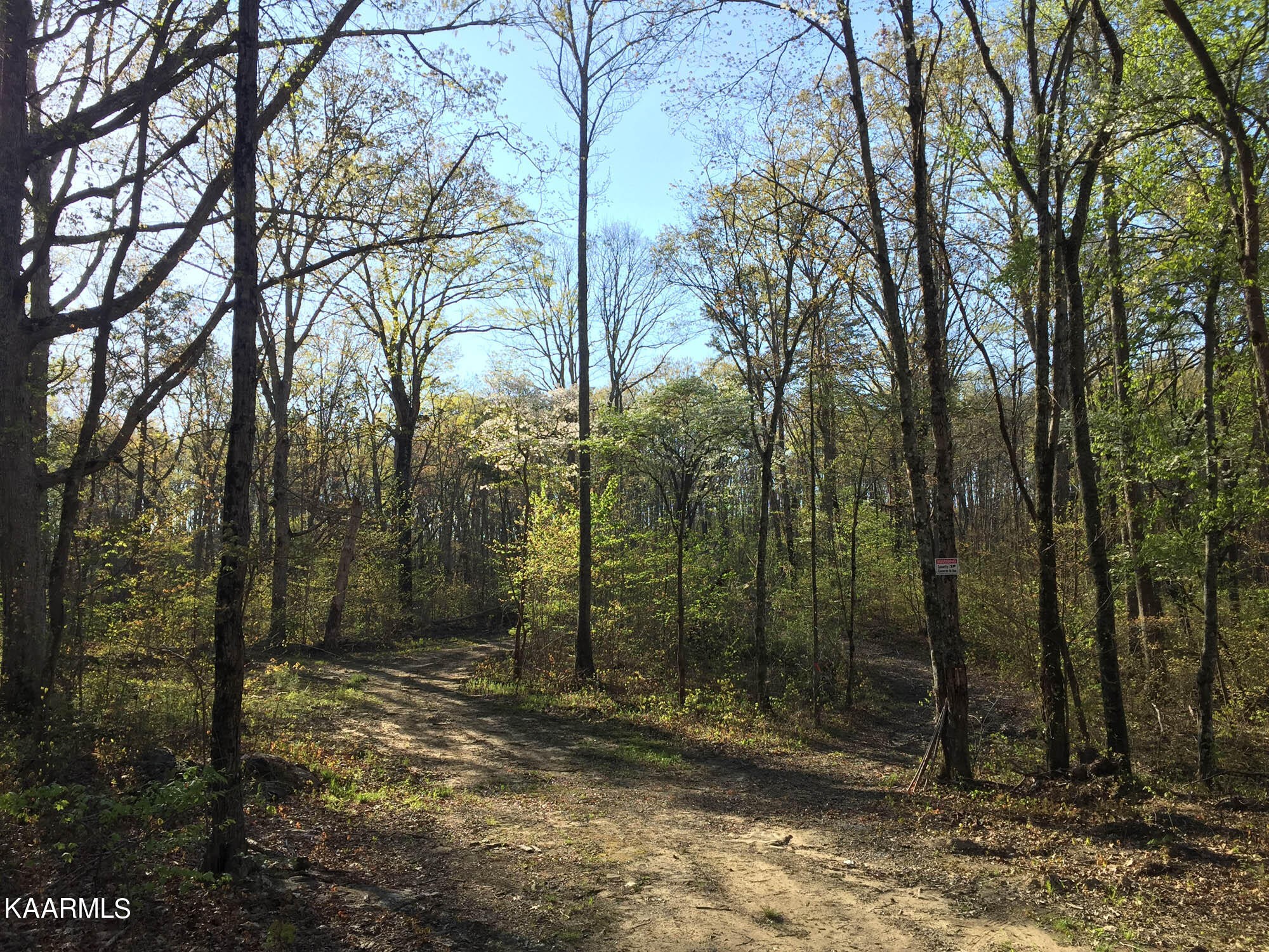 Pikeville, Tennessee, 37367, United States, ,Residential,For Sale,1943070