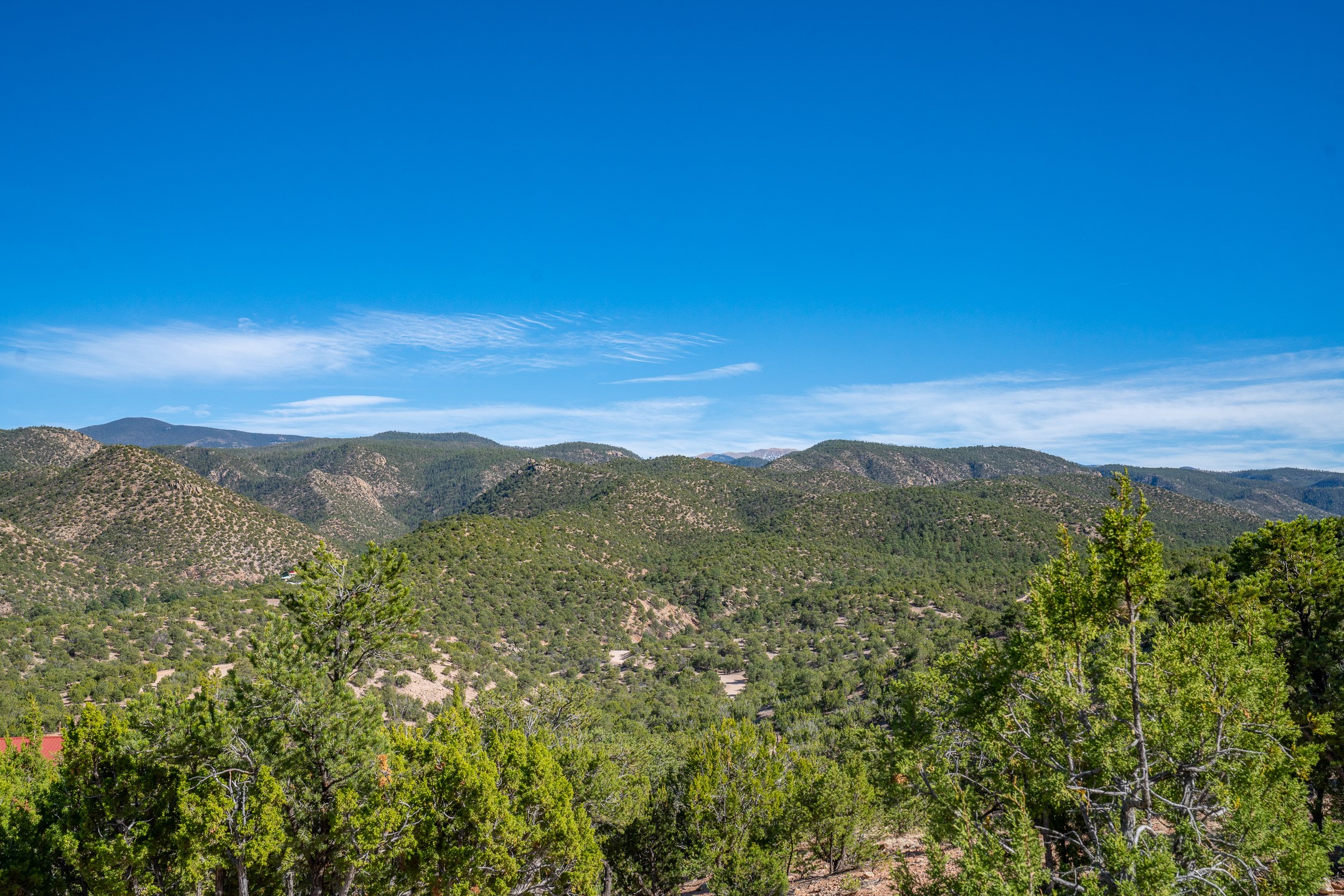  3.5 Acre Lot Camino Del Canon - 物件實景