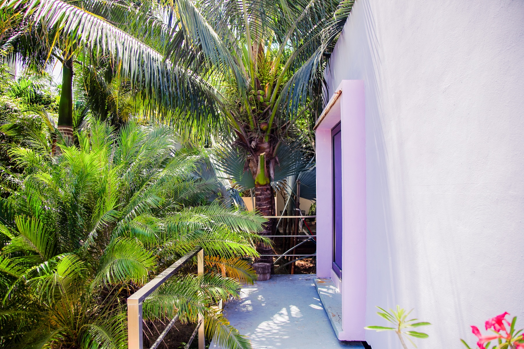  Tropical Living with Contemporary Design in Holbox Island - 物件實景