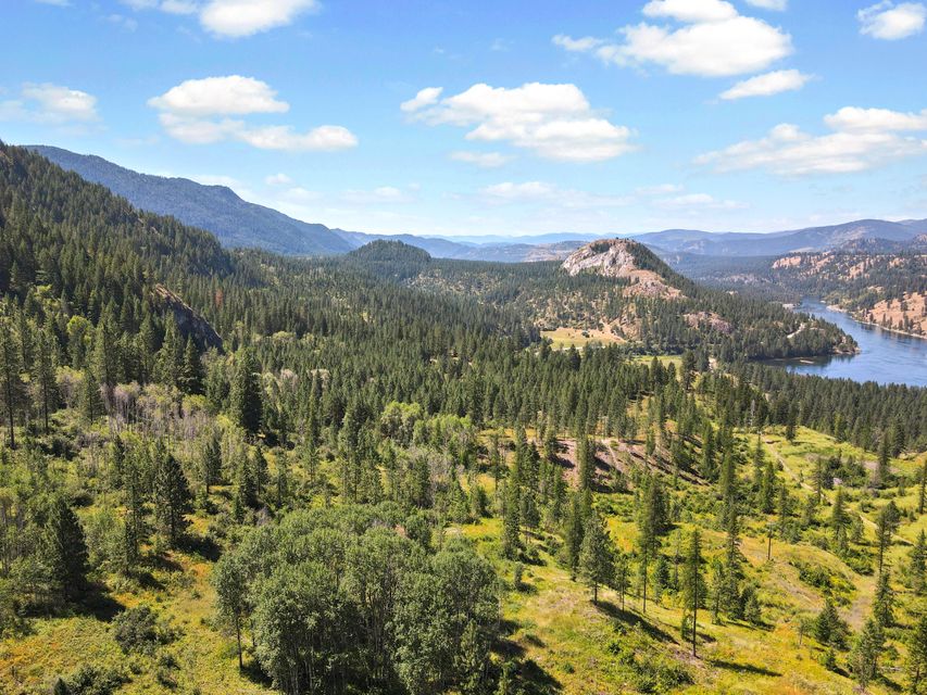 Northport, Washington, 99157, United States, ,Land,For Sale,1982244