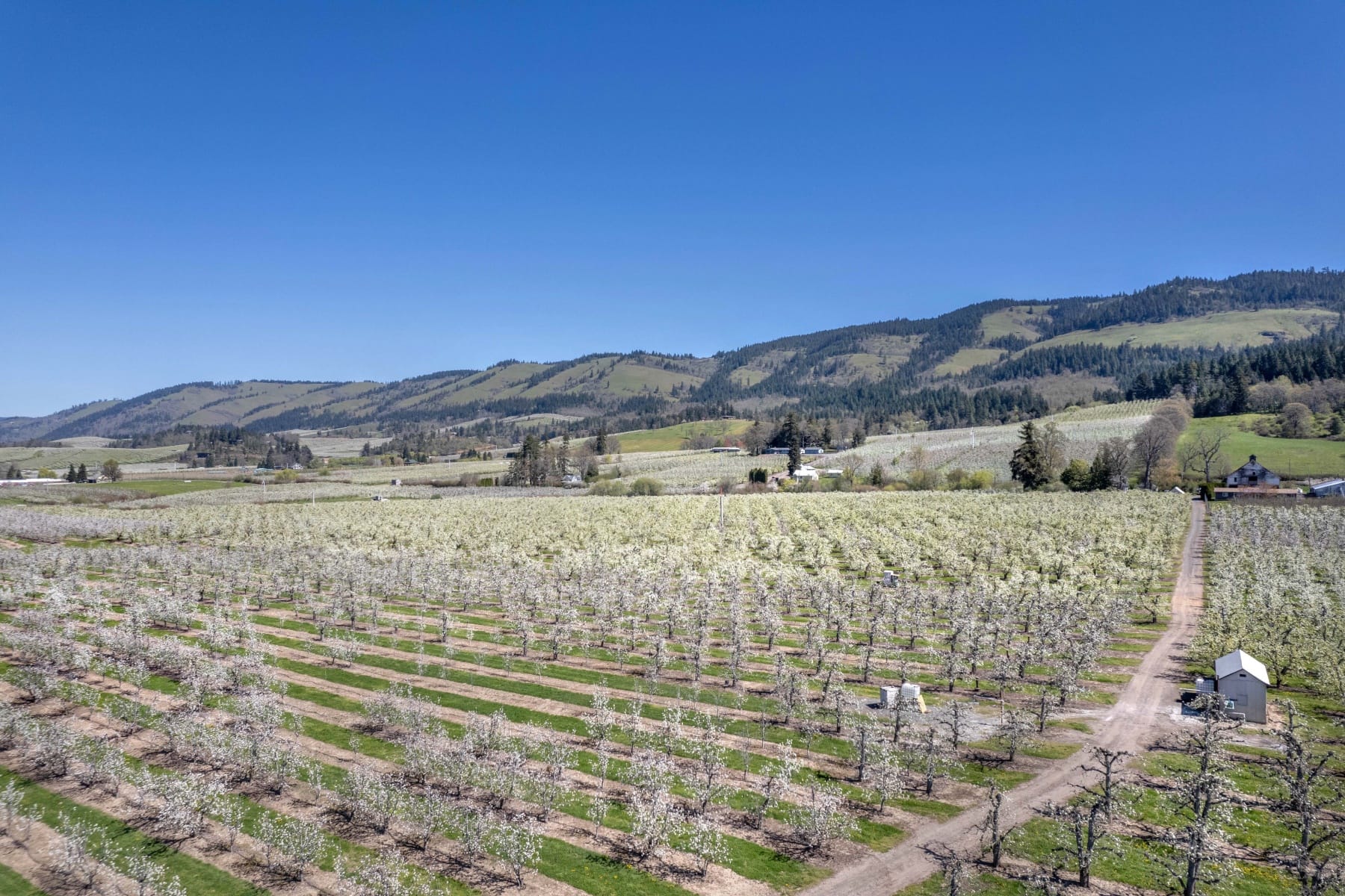  3316 THOMSEN RD Hood River, OR 97031 - 物件實景