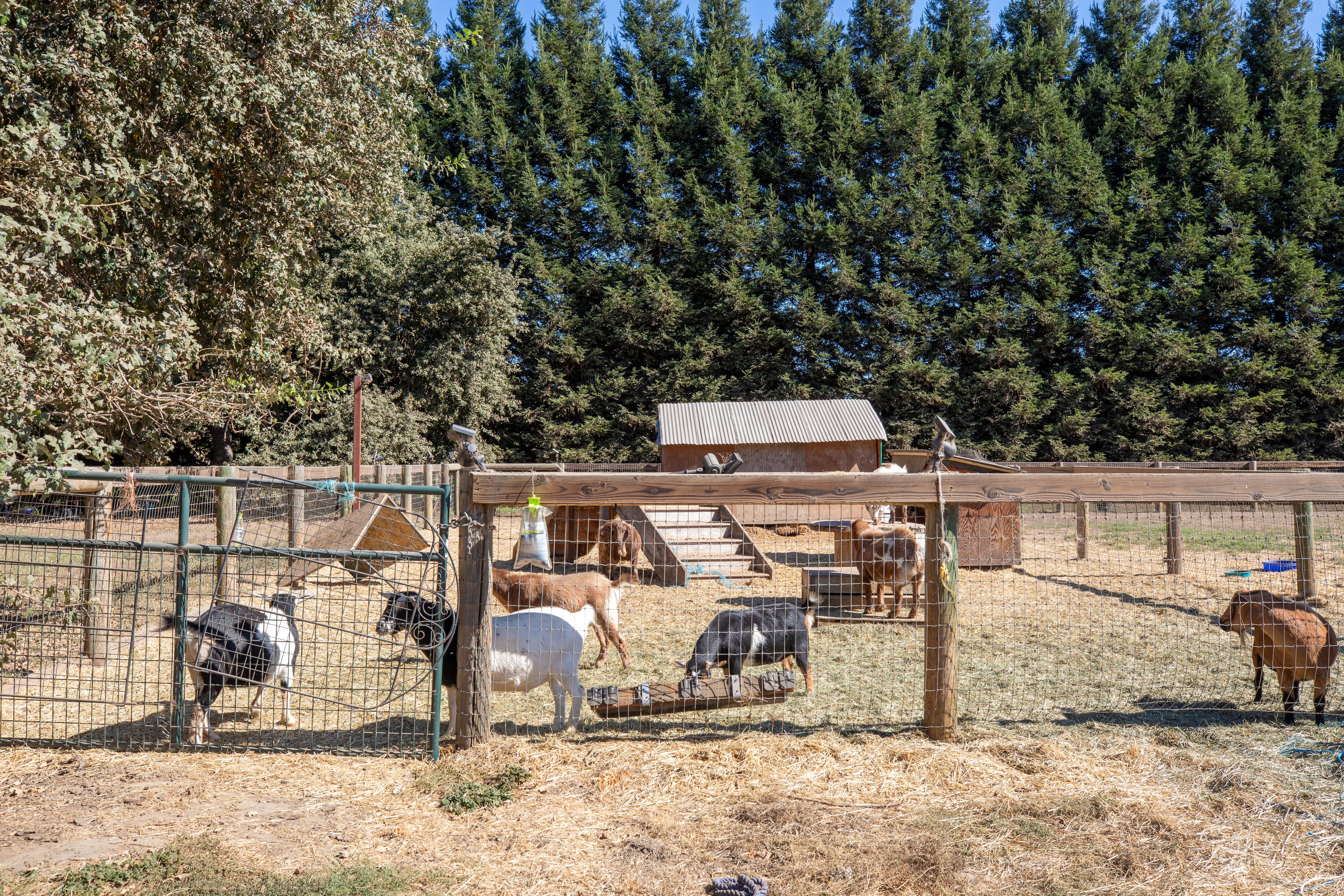  3290 Somers Street, Santa Rosa - 物件實景