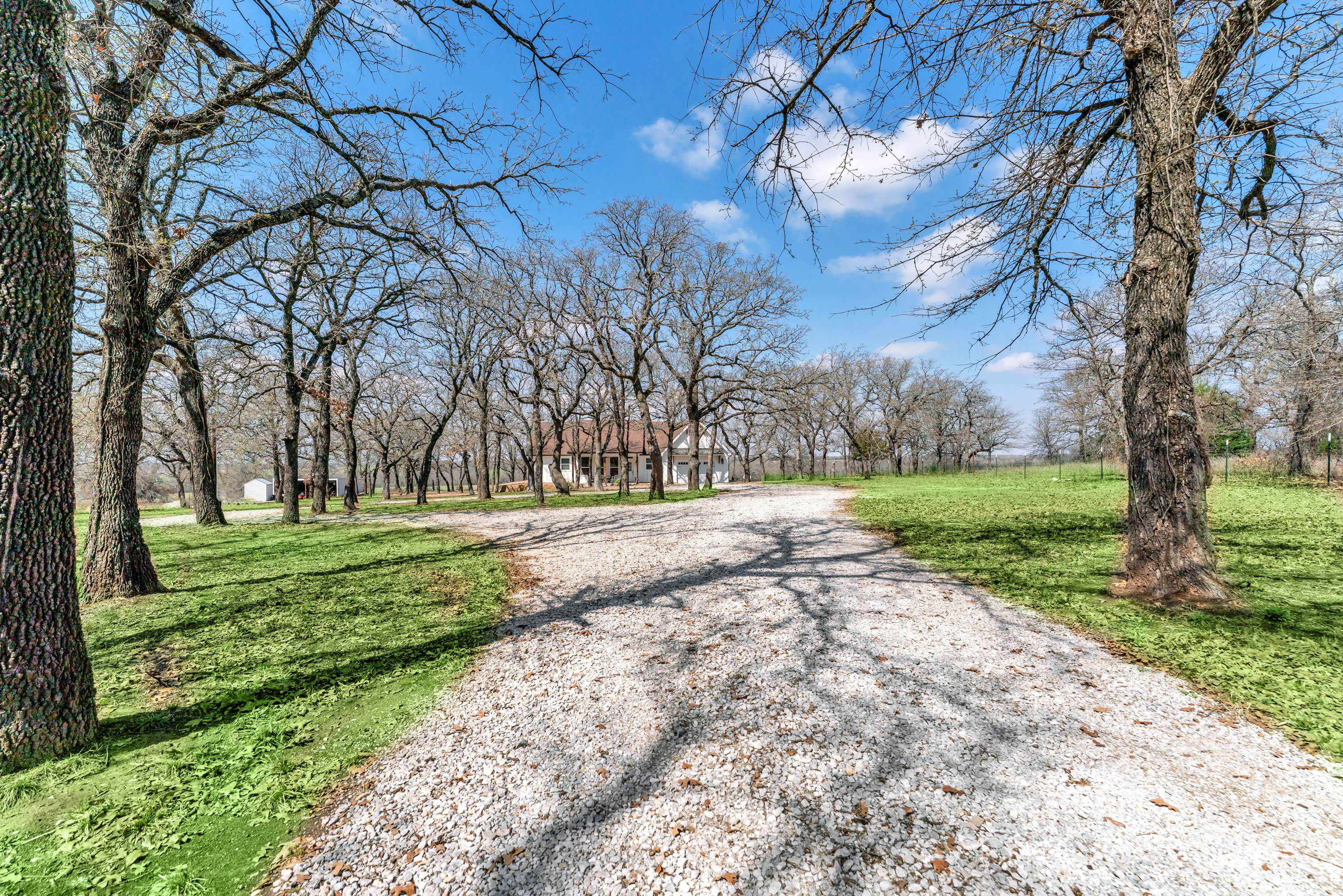  954 Fm 1749, Forestburg, TX, 76239 - 物件實景