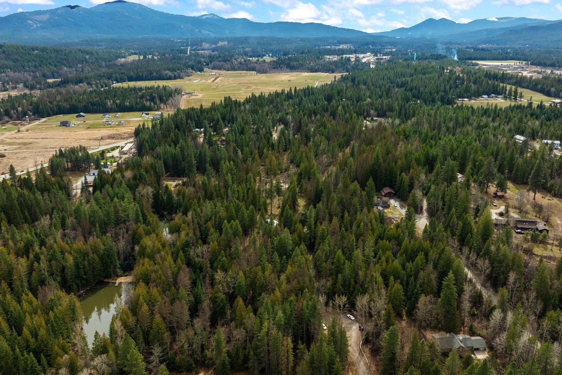  Tree Farm & Home on 6+ Acres - 物件實景